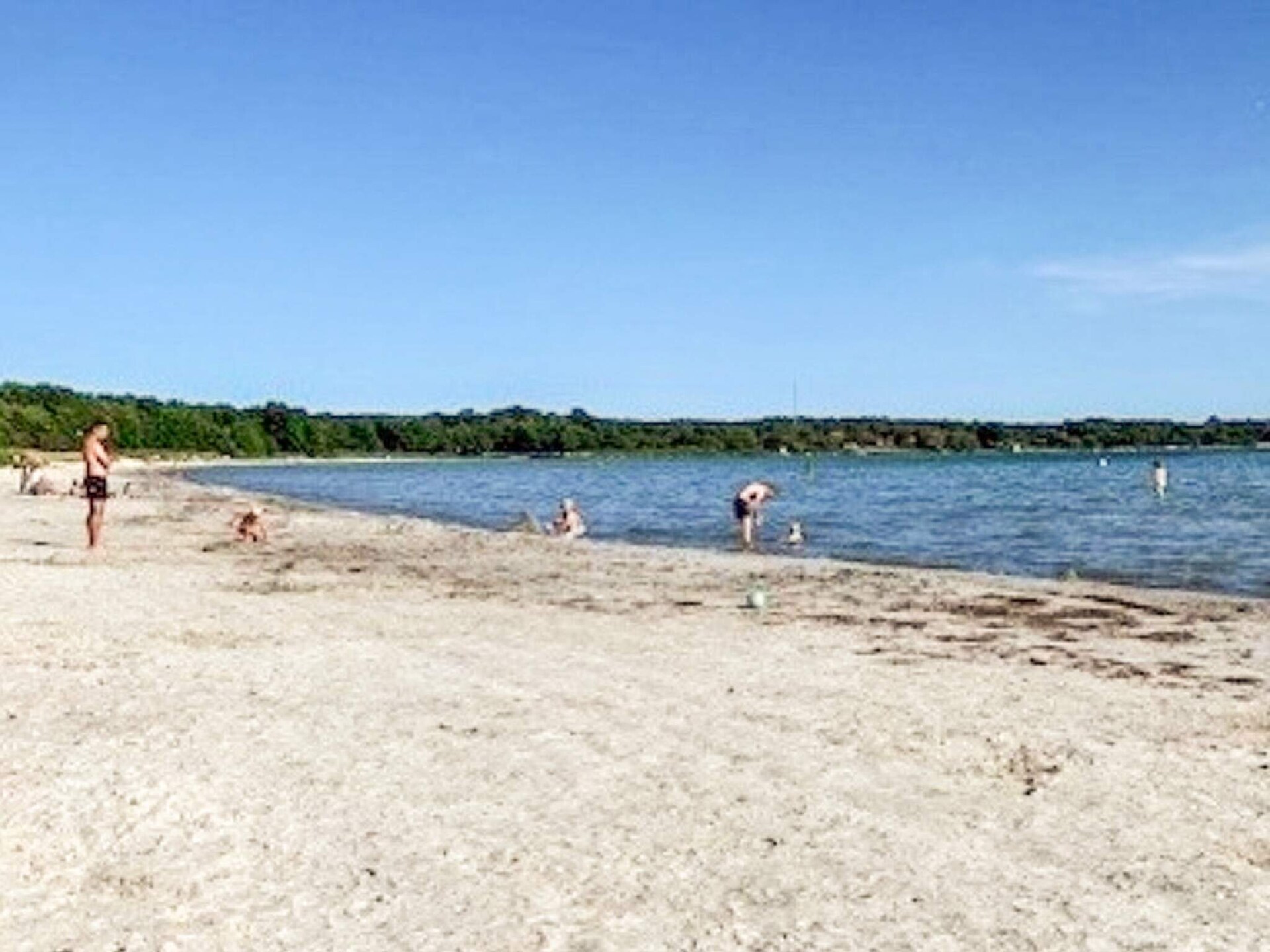 Fris vakantiehuis op 100 meter van zandstrand Sandviken bij Sölvesborg - foto 37