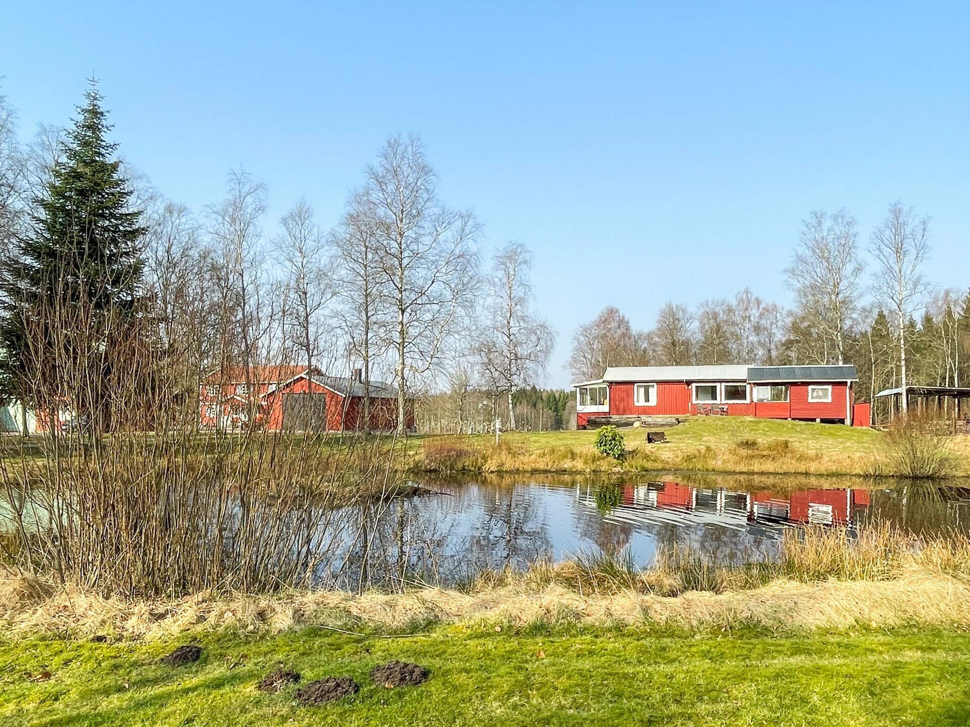 Rood Zomerhuis in de Zweedse Bossen bij Skånes Fagerhult - foto 4