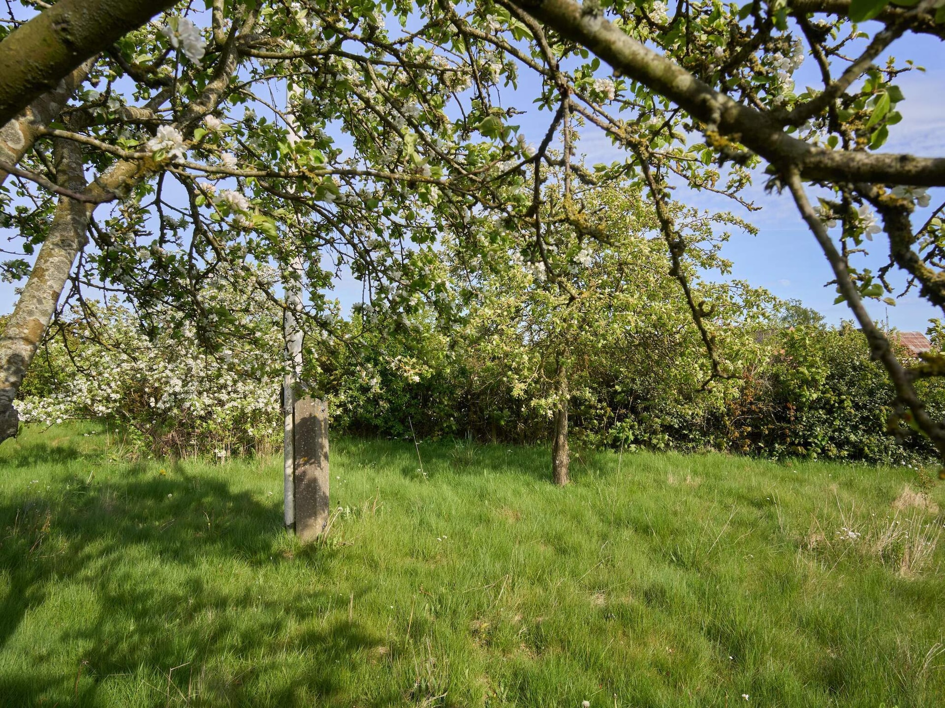 Vrijstaand vakantiehuis op het Deense platteland bij Vestermarie, 88m² - foto 11