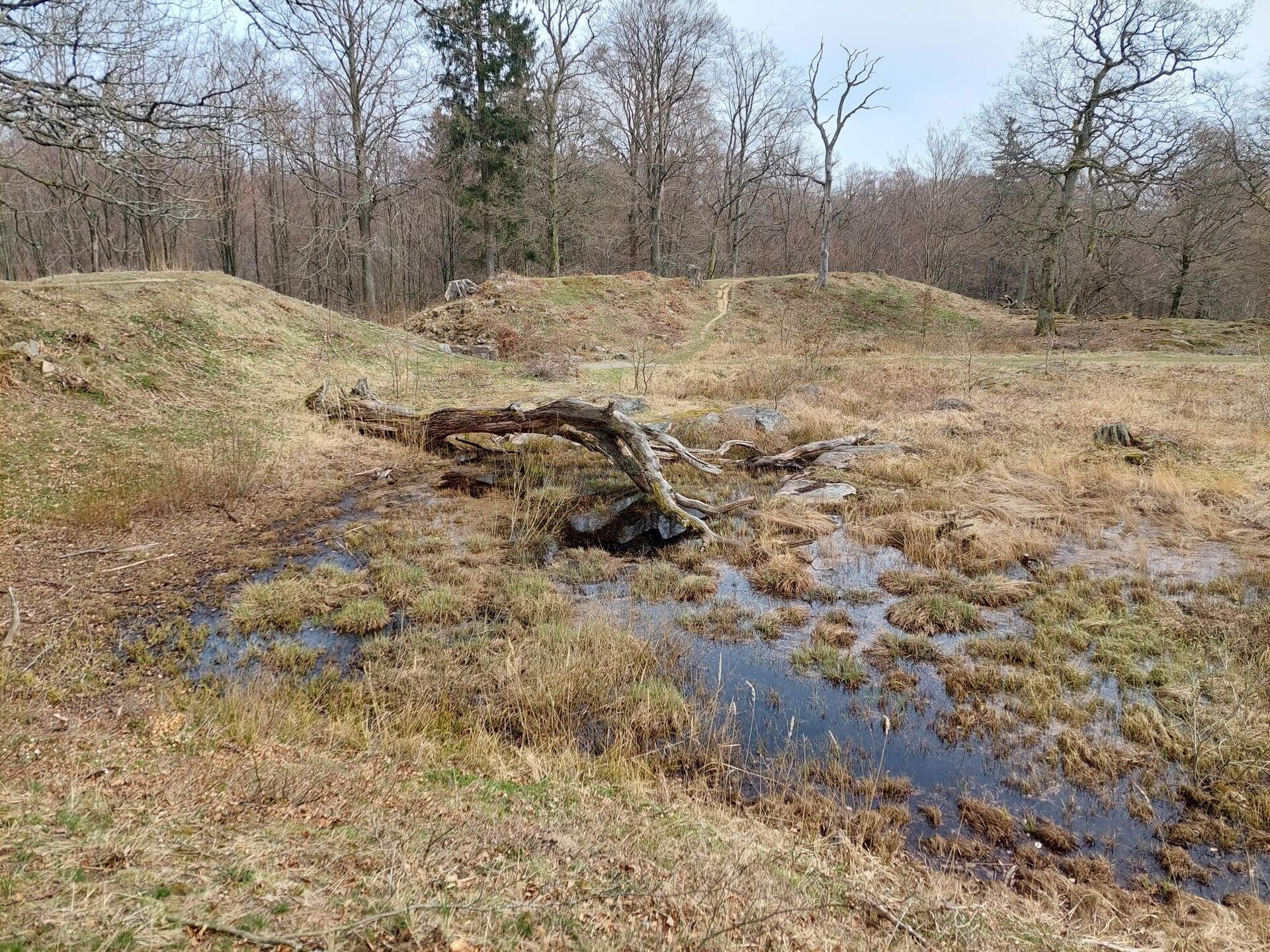 Vrijstaand vakantiehuis op het Deense platteland bij Vestermarie, 88m² - foto 18