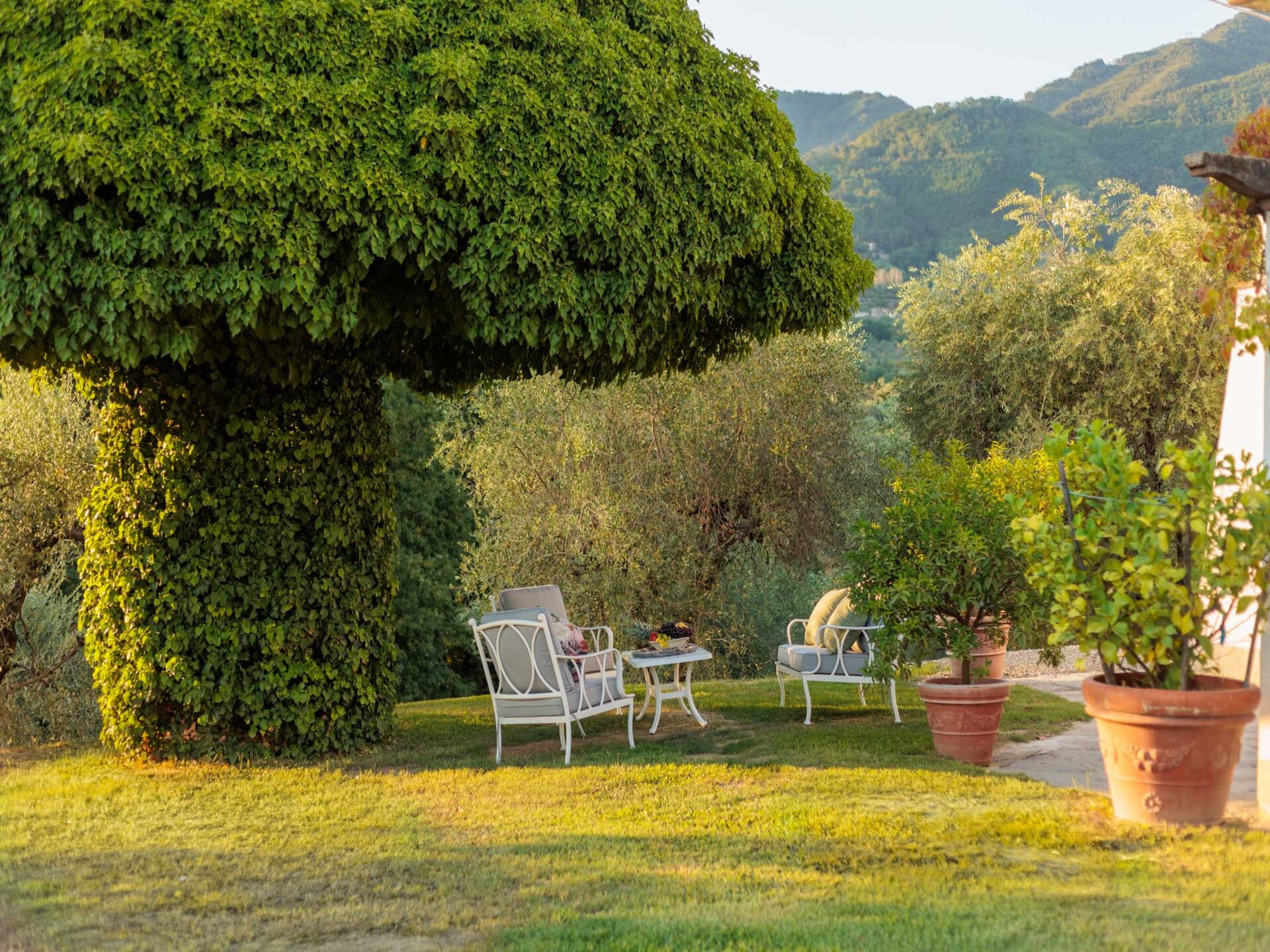Villa Noa: Ruim Toscaans familieverblijf met zwembad en uitzicht bij Lucca - foto 123