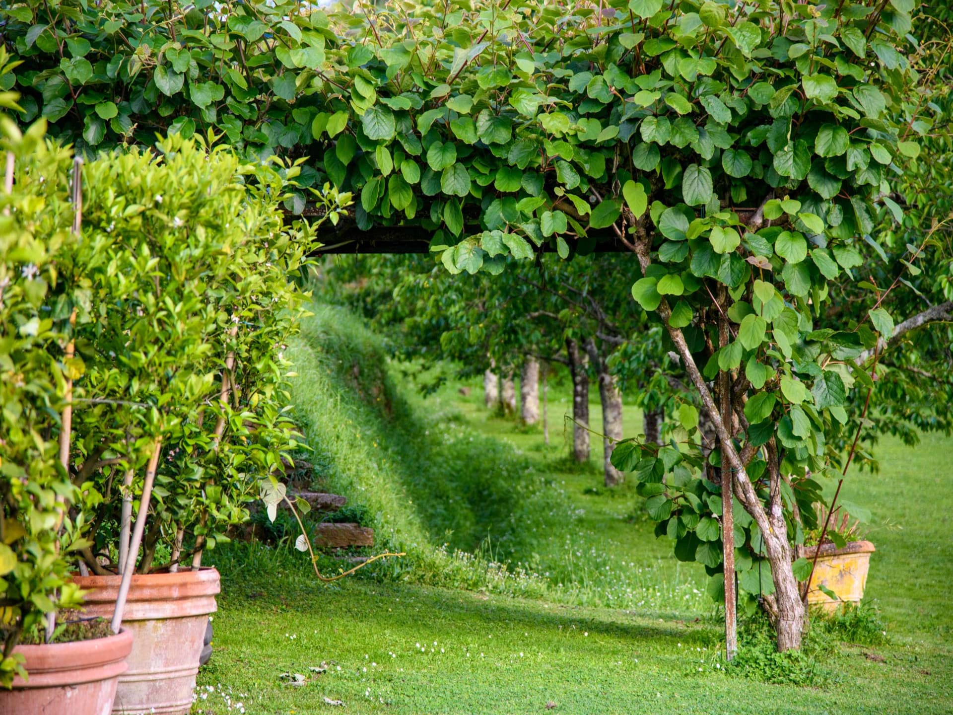 Toscaanse villa met privétuin en uitzicht op olijfgaarden bij Lucca - foto 67