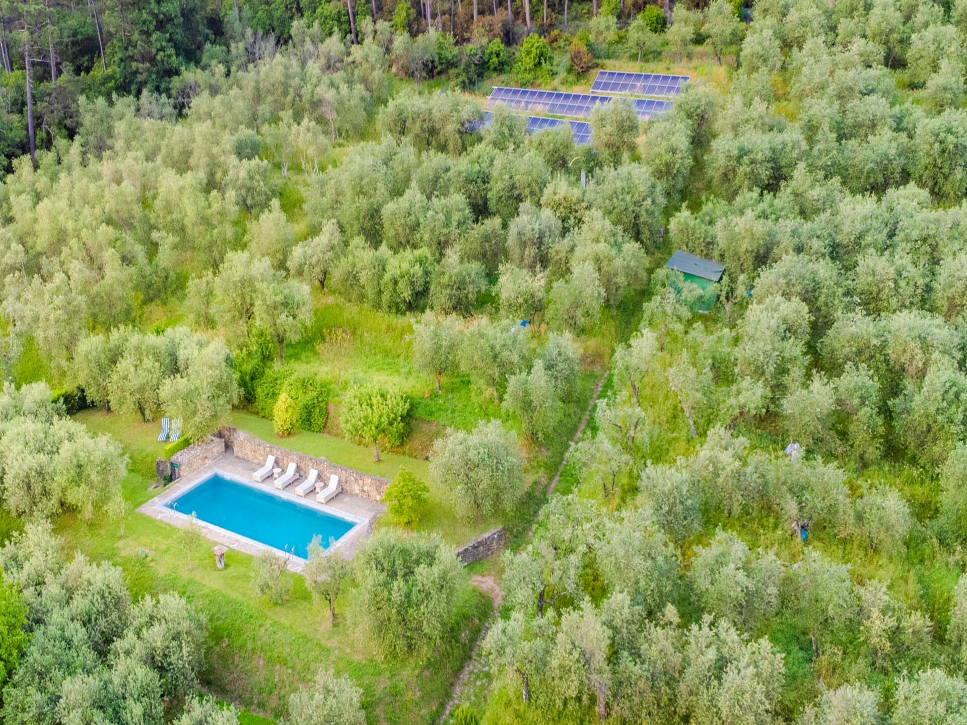 Toscaanse villa met privétuin en uitzicht op olijfgaarden bij Lucca - foto 15