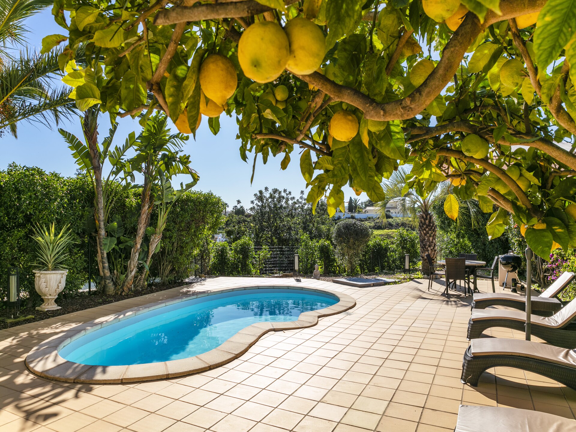 Vakantiehuis in Carvoeiro: op 50 m van de golfbaan met privézwembad - foto 1