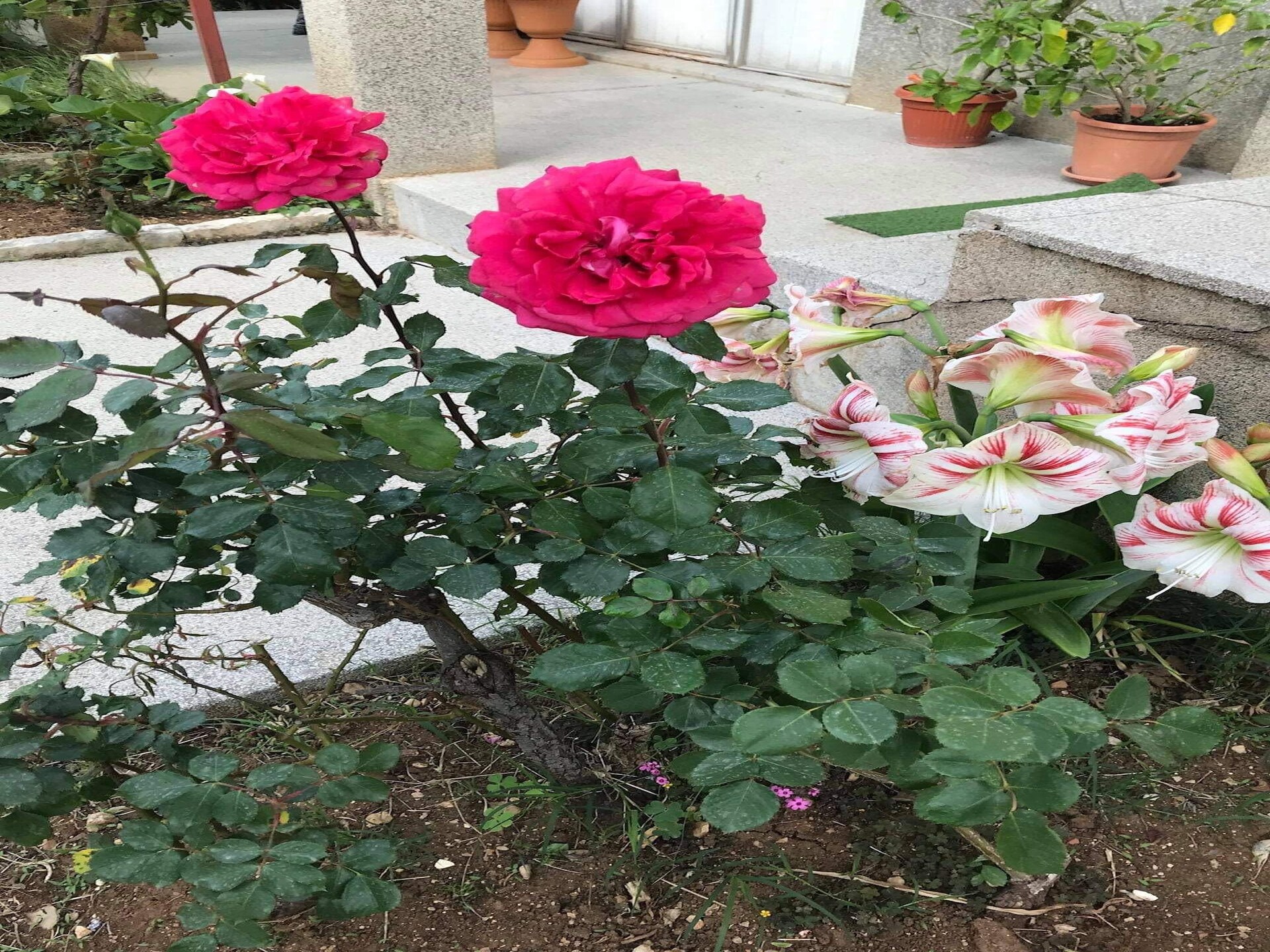 Tweeslaapkamerappartement met terras en balkon in Vodice, 400m van het strand - foto 18