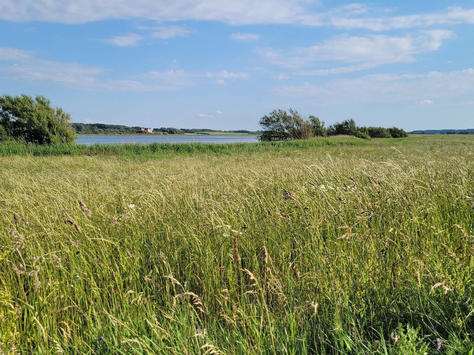 Rustig vakantiehuis voor 2 personen in Spøttrup bij Ålbæk Strand - foto 35