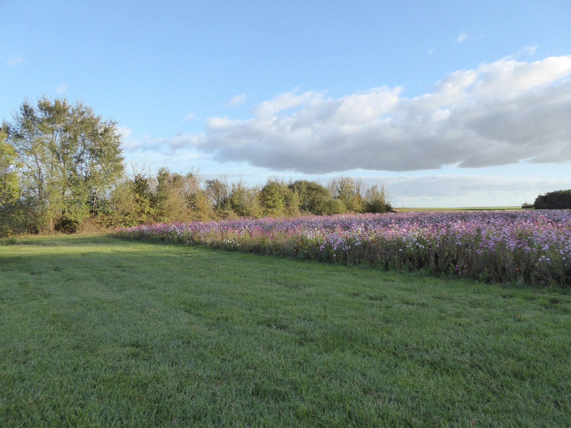 Knusse vakantieboerderij voor 2 personen in de bossen bij Châteauroux - foto 33