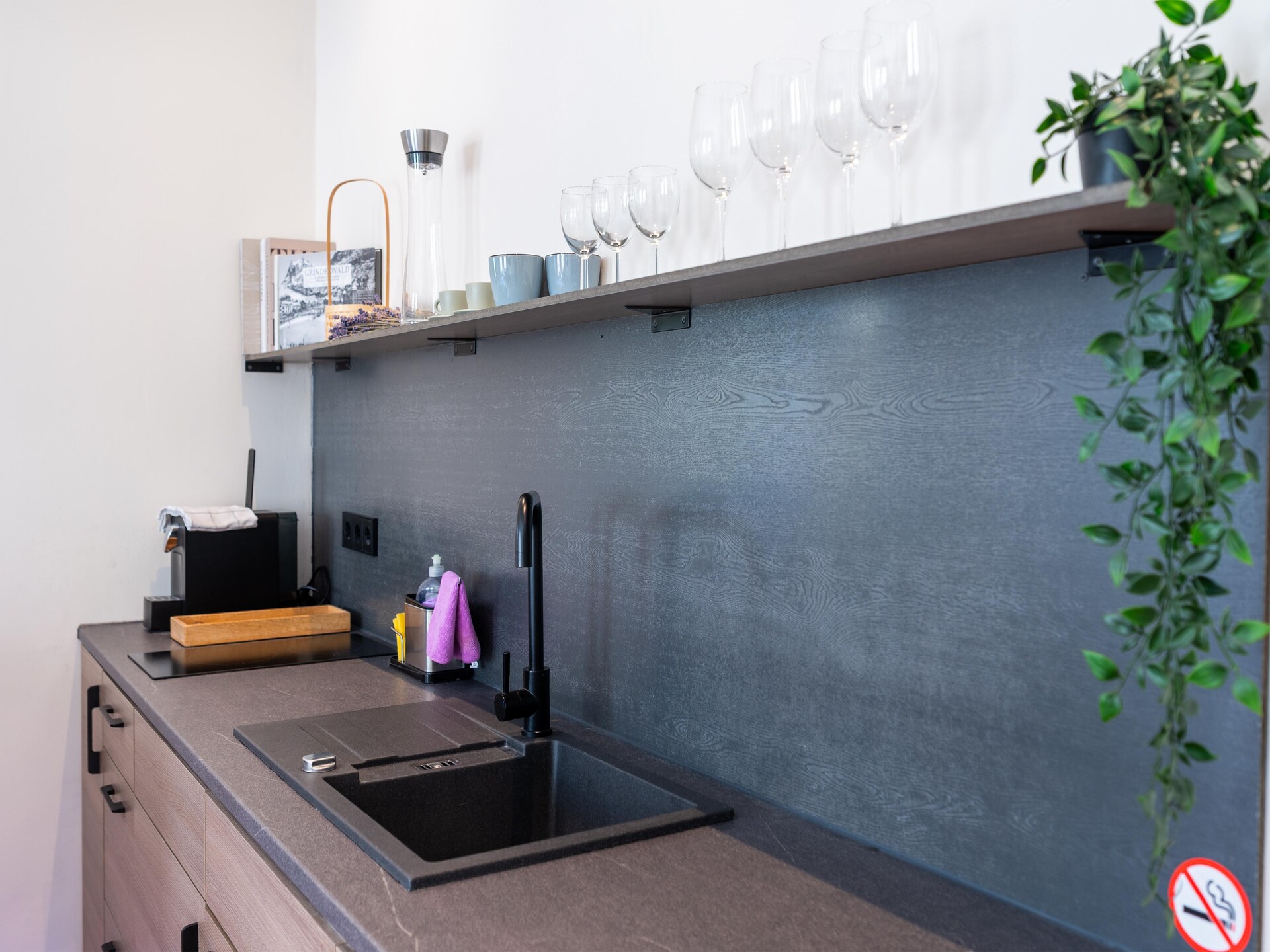 Deluxe Suite in het groen aan Rijn en Moezel, Koblenz - foto 14