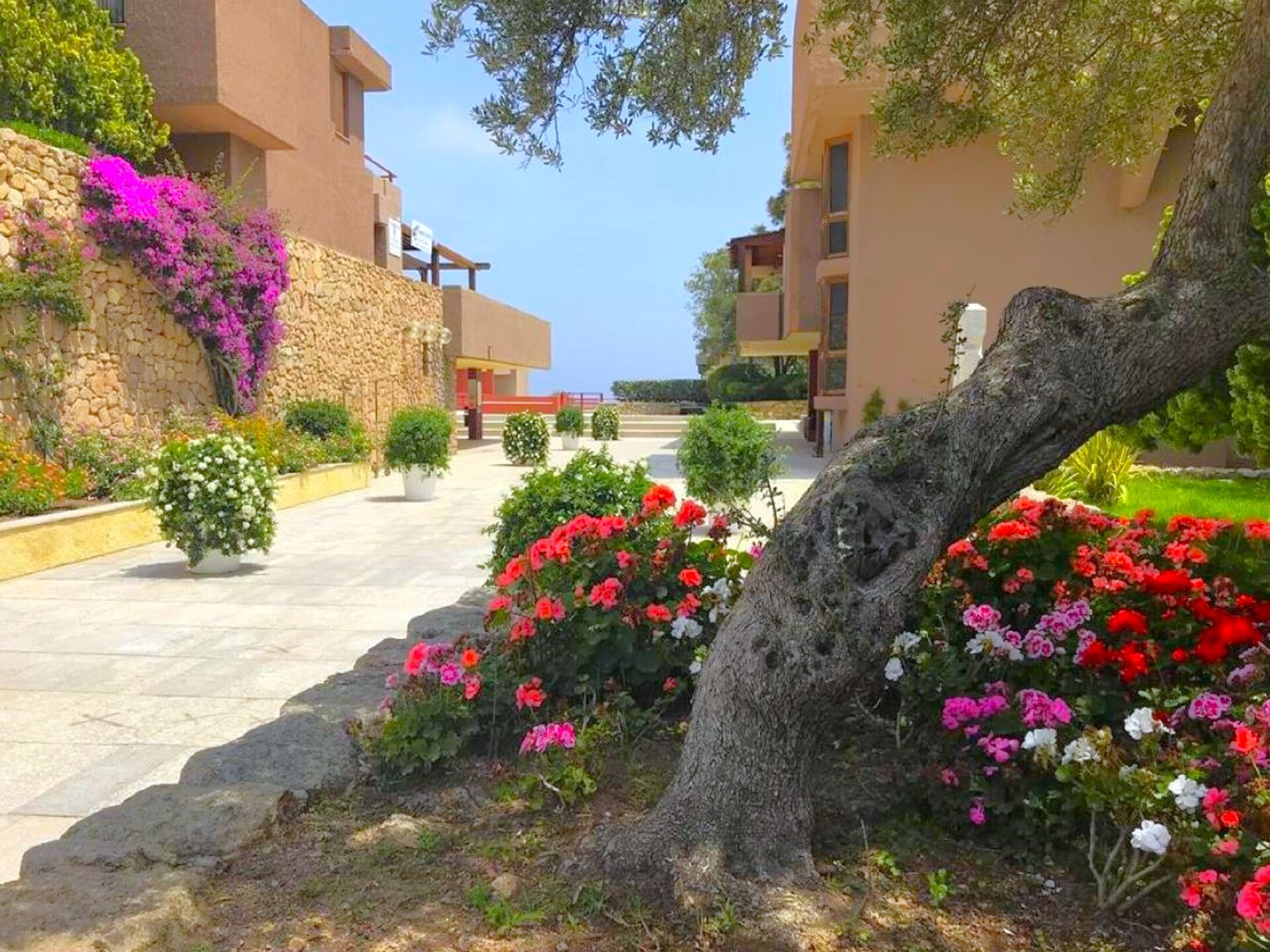 6-persoons appartement in Olbia op 1,0 km van de zee - foto 18