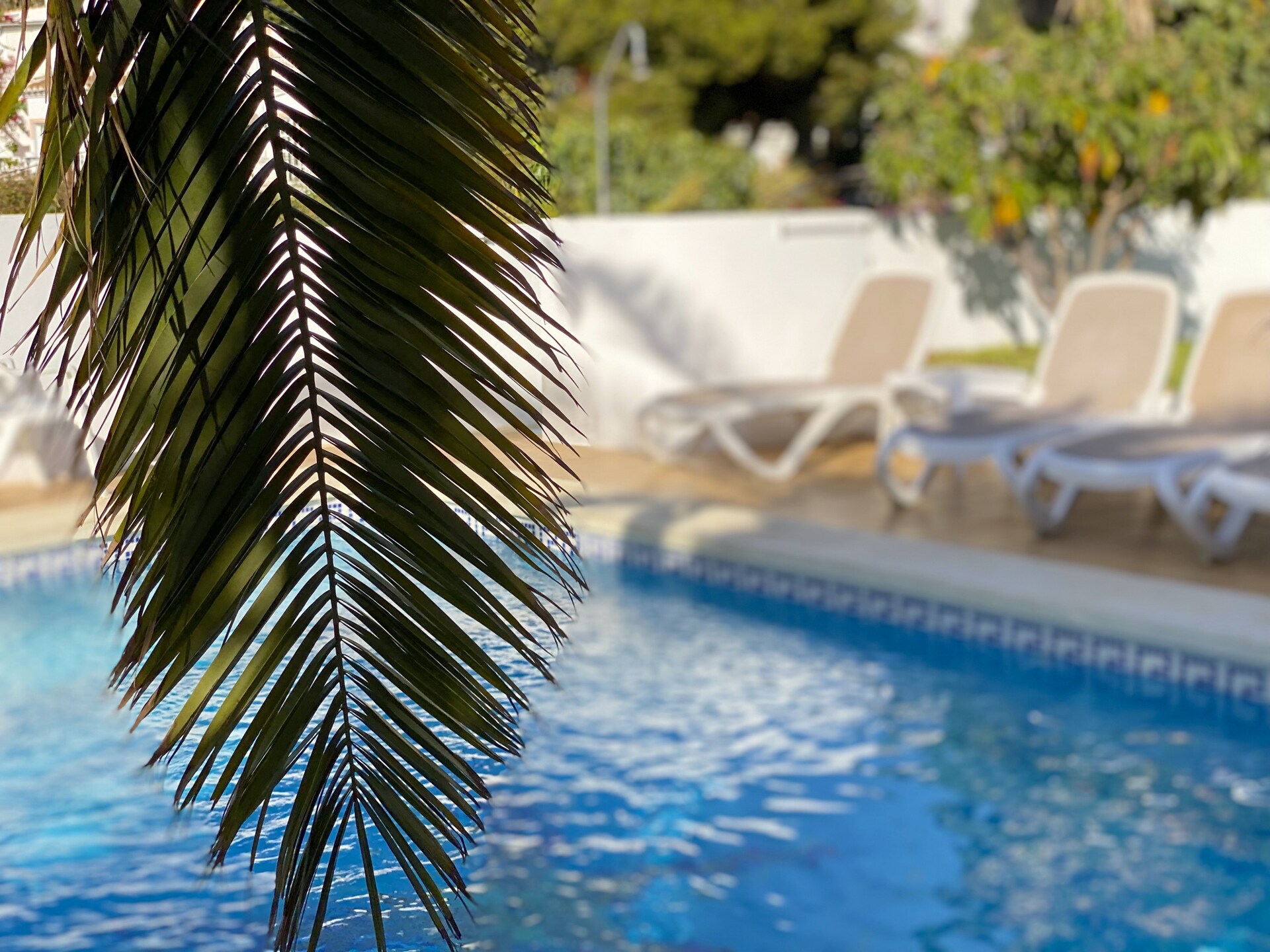 Villa Sandra Luxury Suite | Exclusief appartement met zwembad in Nerja - foto 10
