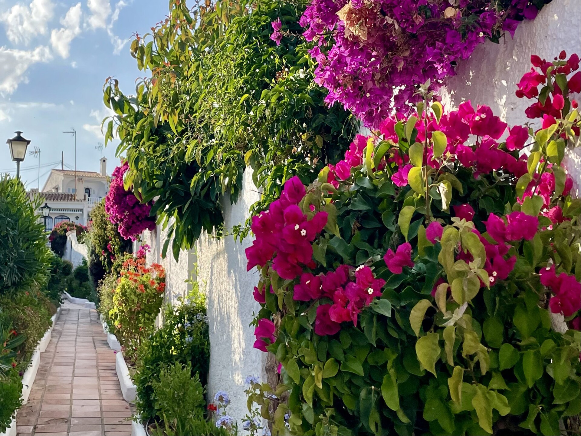 Knus appartement aan de golfbaan in Capistrano Village, Nerja - foto 26