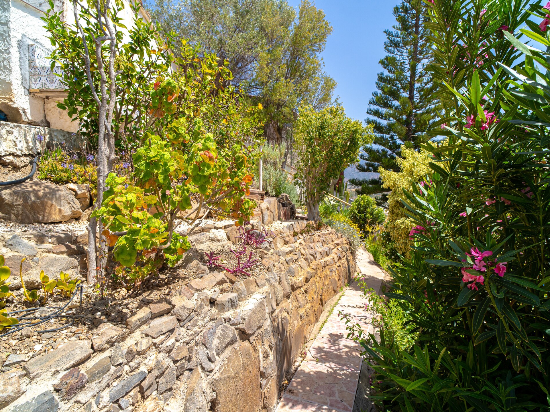 Mirador de Punta Lara: Ruime villa met zeezicht en tuin bij Nerja - foto 36