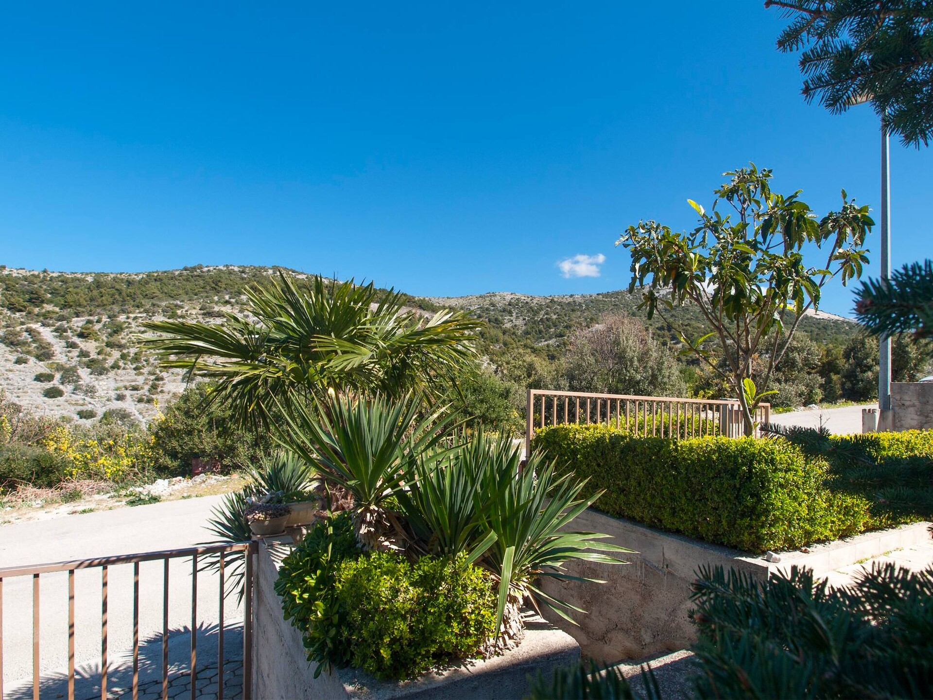 Op 650 m van het strand: knus appartement in Primošten - foto 11