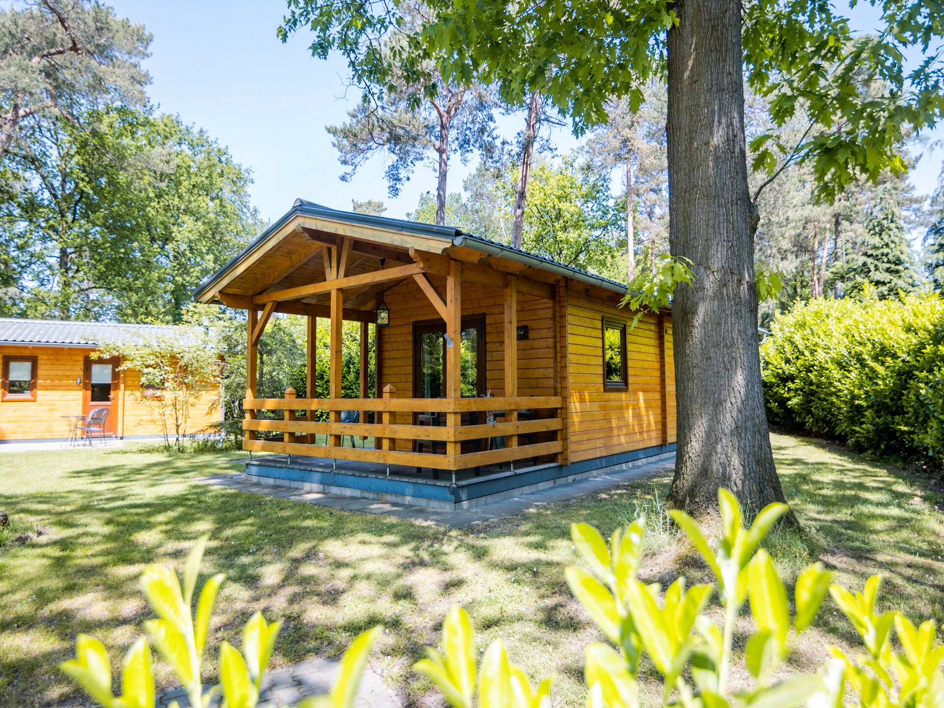 Luxe wellness lodge voor 2 personen op rustig vakantiepark in Markelo - foto 2