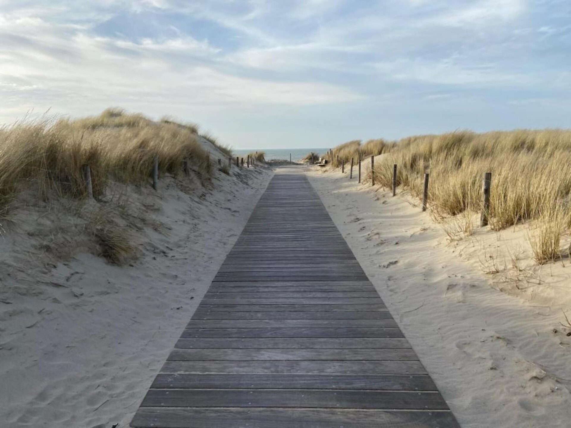 Modern vakantiehuis op 400 meter van het strand in Petten - foto 31