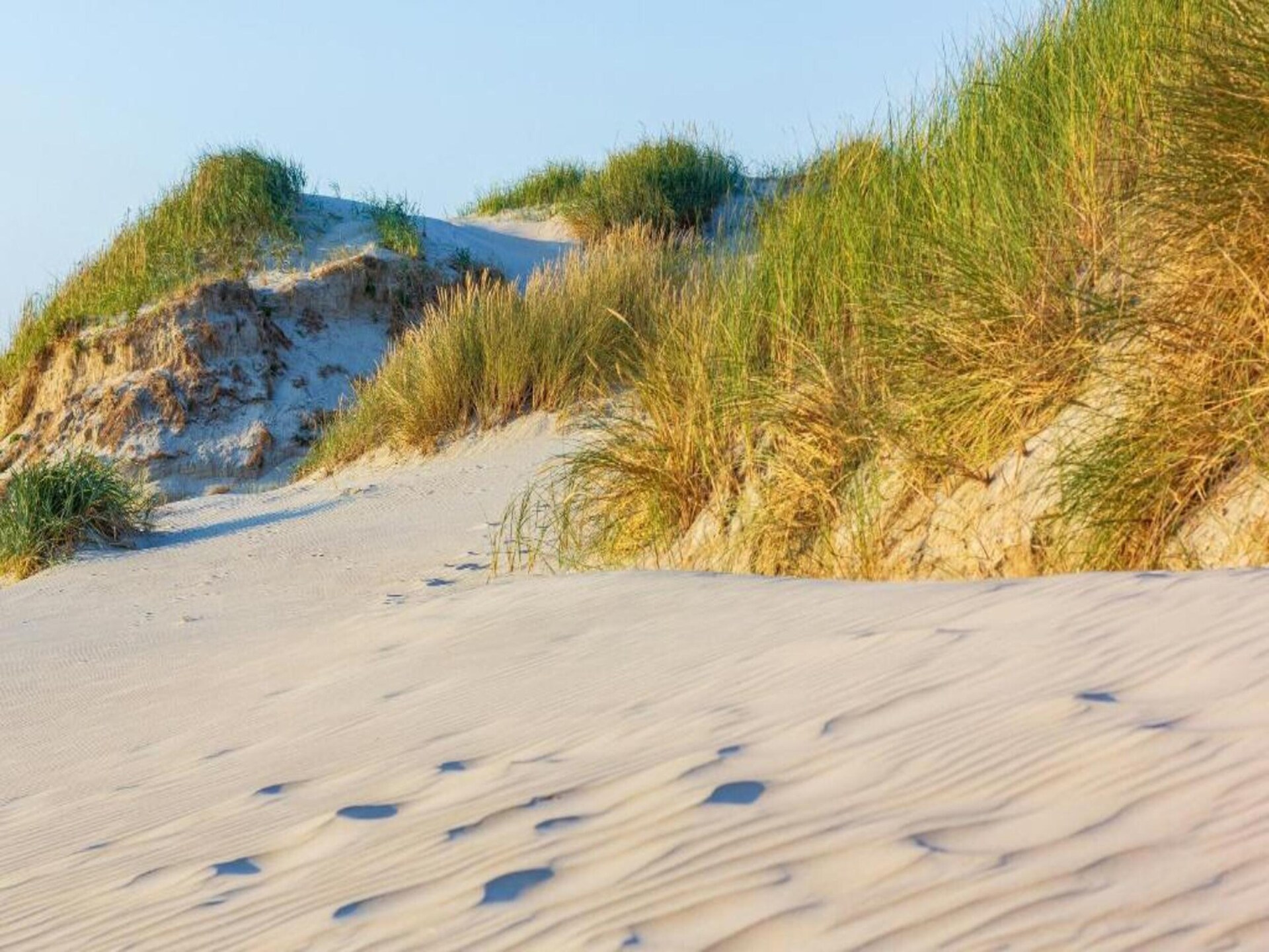 Vrijstaand vakantiehuis in Sint Maartenszee, 6 pers., strand dichtbij - foto 10