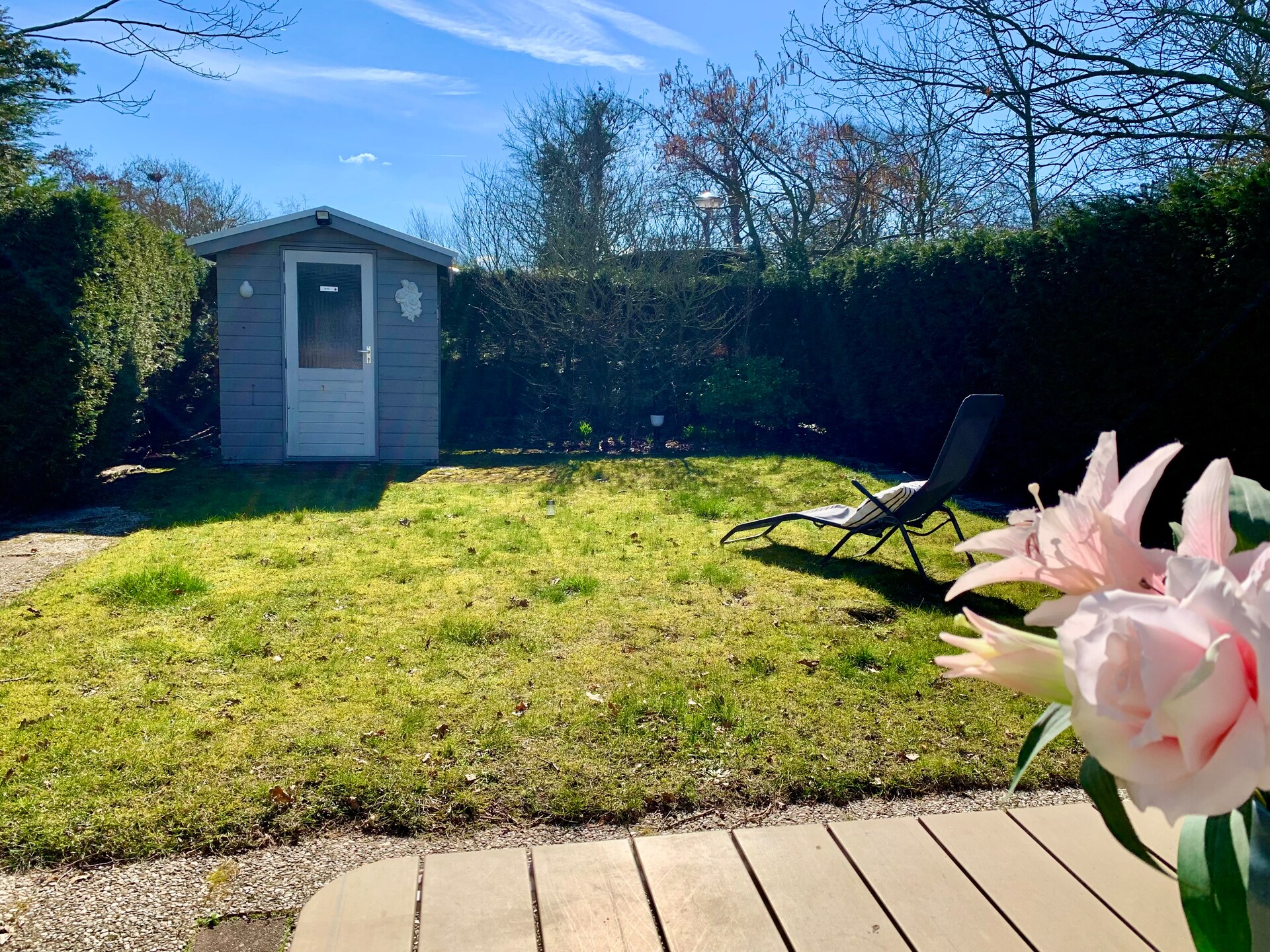 Vrijstaand vakantiehuis Wildrijk 141 - strand, natuur en huisdieren welkom - foto 15