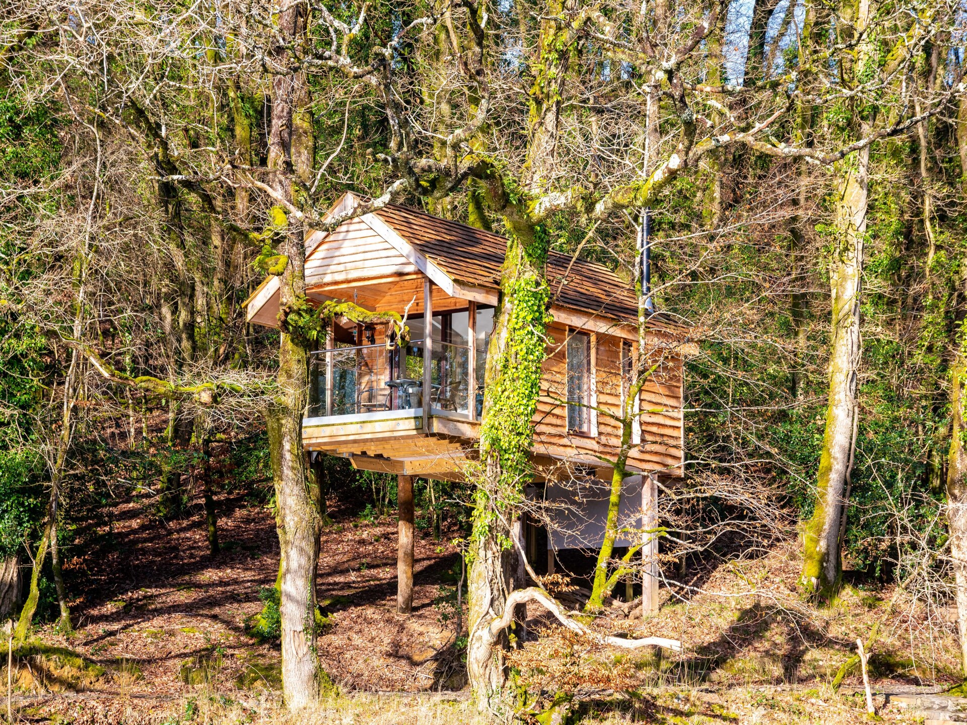 Yeworthy Eco-Treehouse: Duurzame boomhut aan privémeer in Devon - foto 24