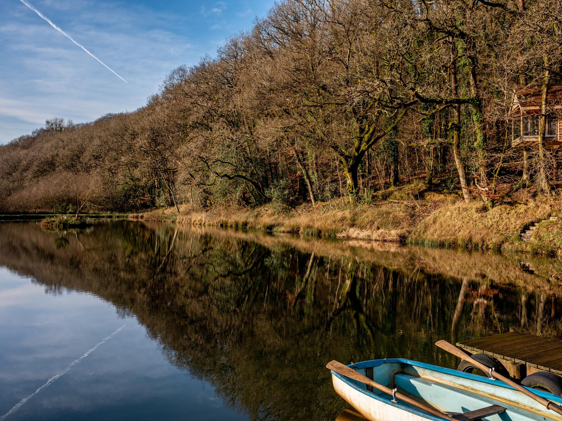 Yeworthy Eco-Treehouse: Duurzame boomhut aan privémeer in Devon - foto 13