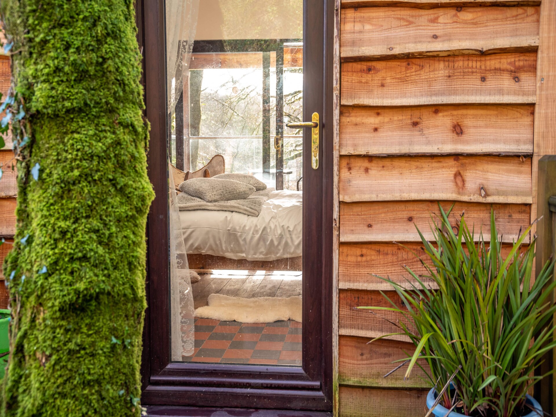 Yeworthy Eco-Treehouse: Duurzame boomhut aan privémeer in Devon - foto 22