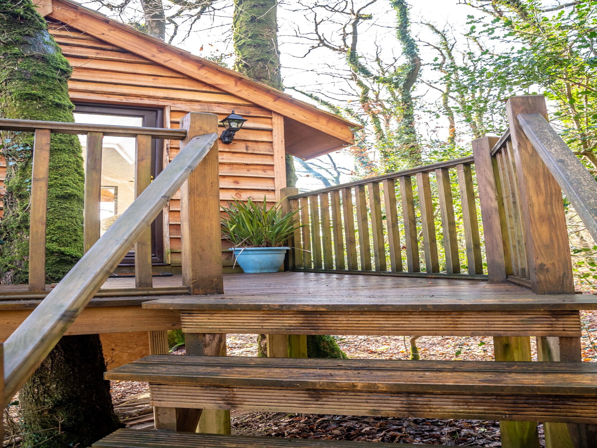 Yeworthy Eco-Treehouse: Duurzame boomhut aan privémeer in Devon - foto 21