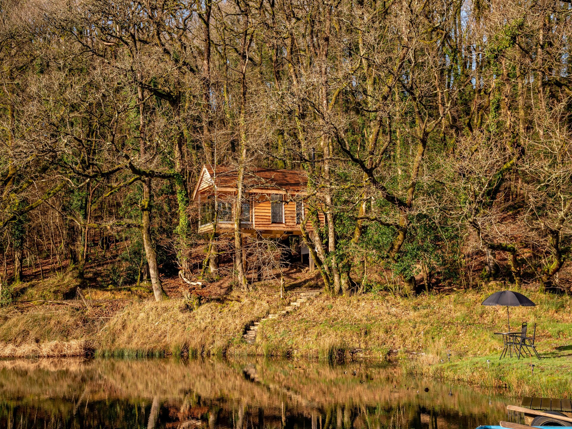 Yeworthy Eco-Treehouse: Duurzame boomhut aan privémeer in Devon - foto 17