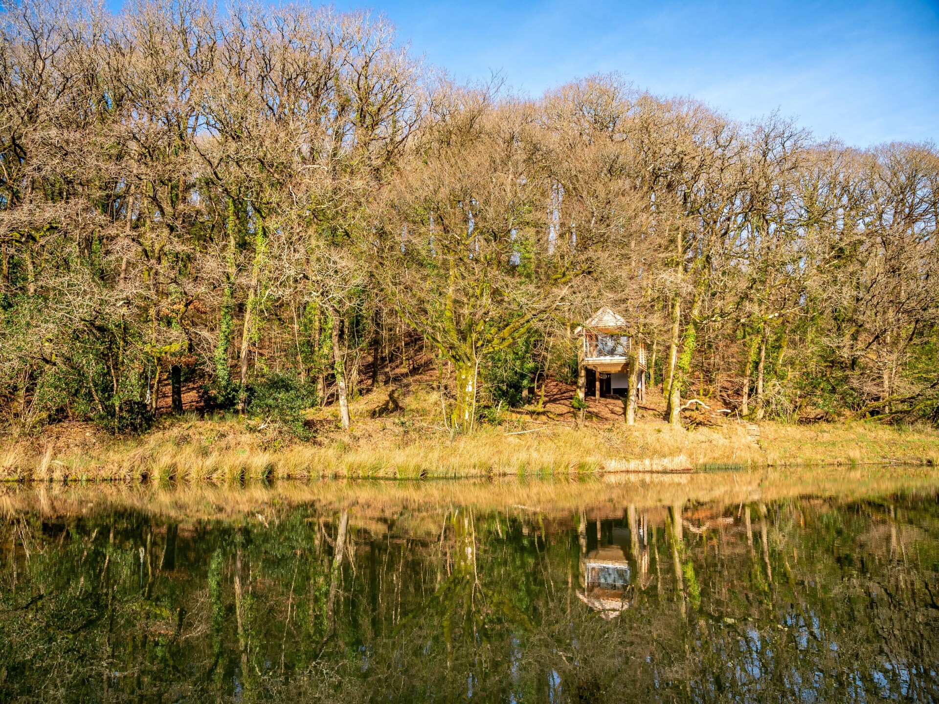 Yeworthy Eco-Treehouse: Duurzame boomhut aan privémeer in Devon - foto 18