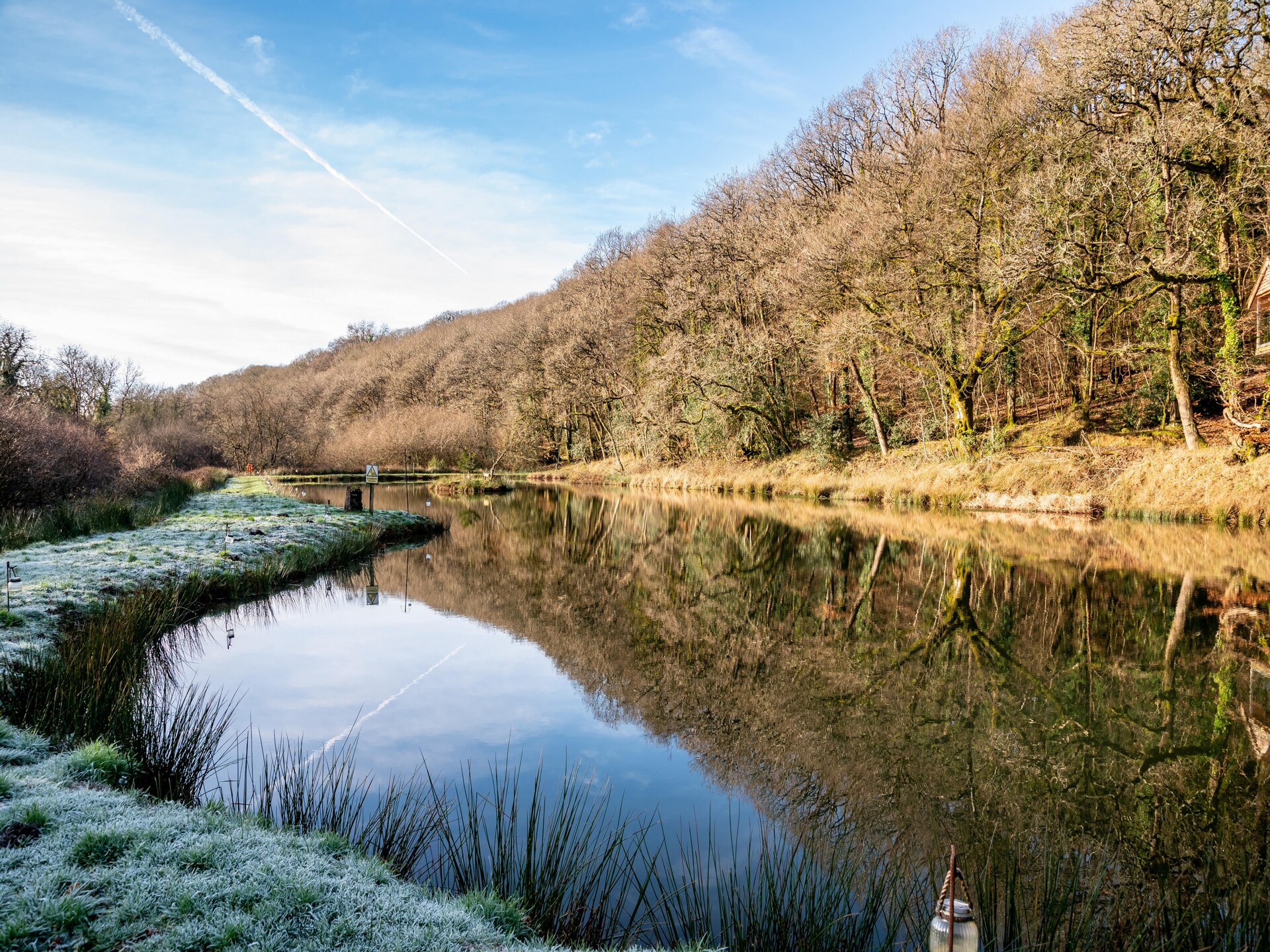 Yeworthy Eco-Treehouse: Duurzame boomhut aan privémeer in Devon - foto 20