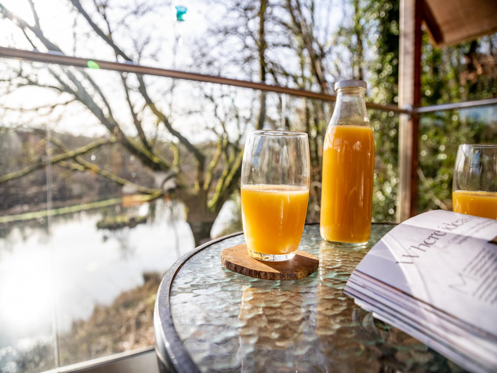 Yeworthy Eco-Treehouse: Duurzame boomhut aan privémeer in Devon - foto 7