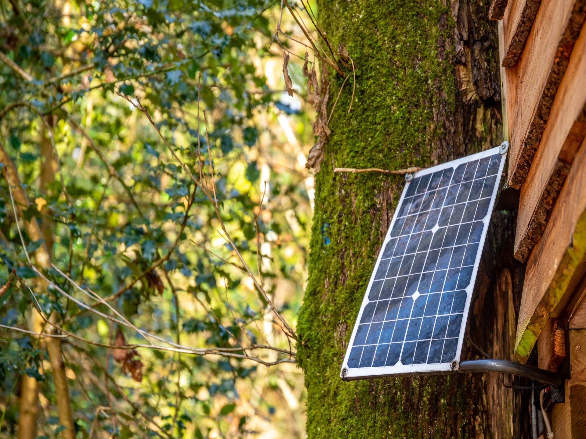 Yeworthy Eco-Treehouse: Duurzame boomhut aan privémeer in Devon - foto 12