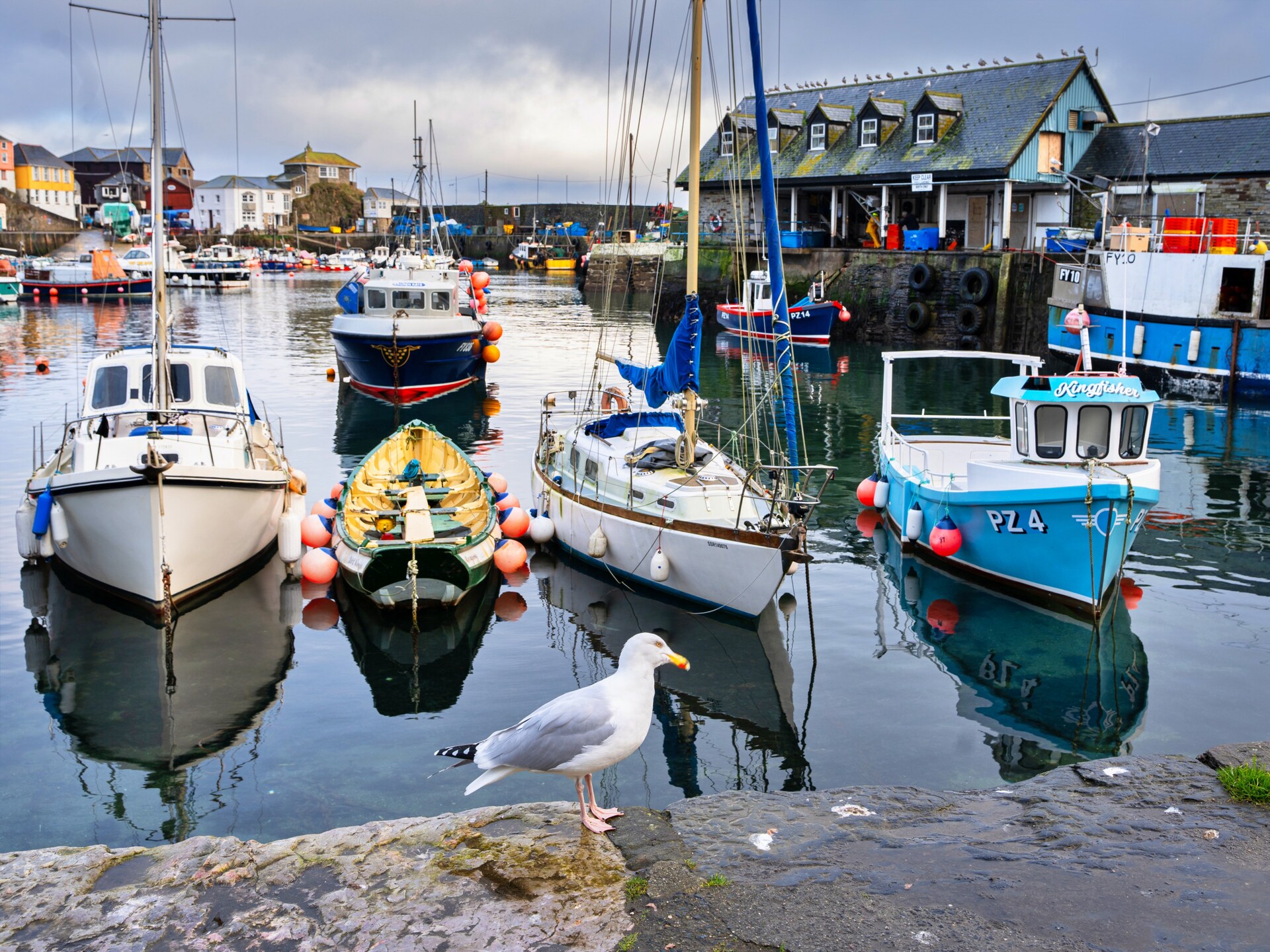 Stijlvol landhuis bij de haven van Mevagissey, ook voor honden - foto 27