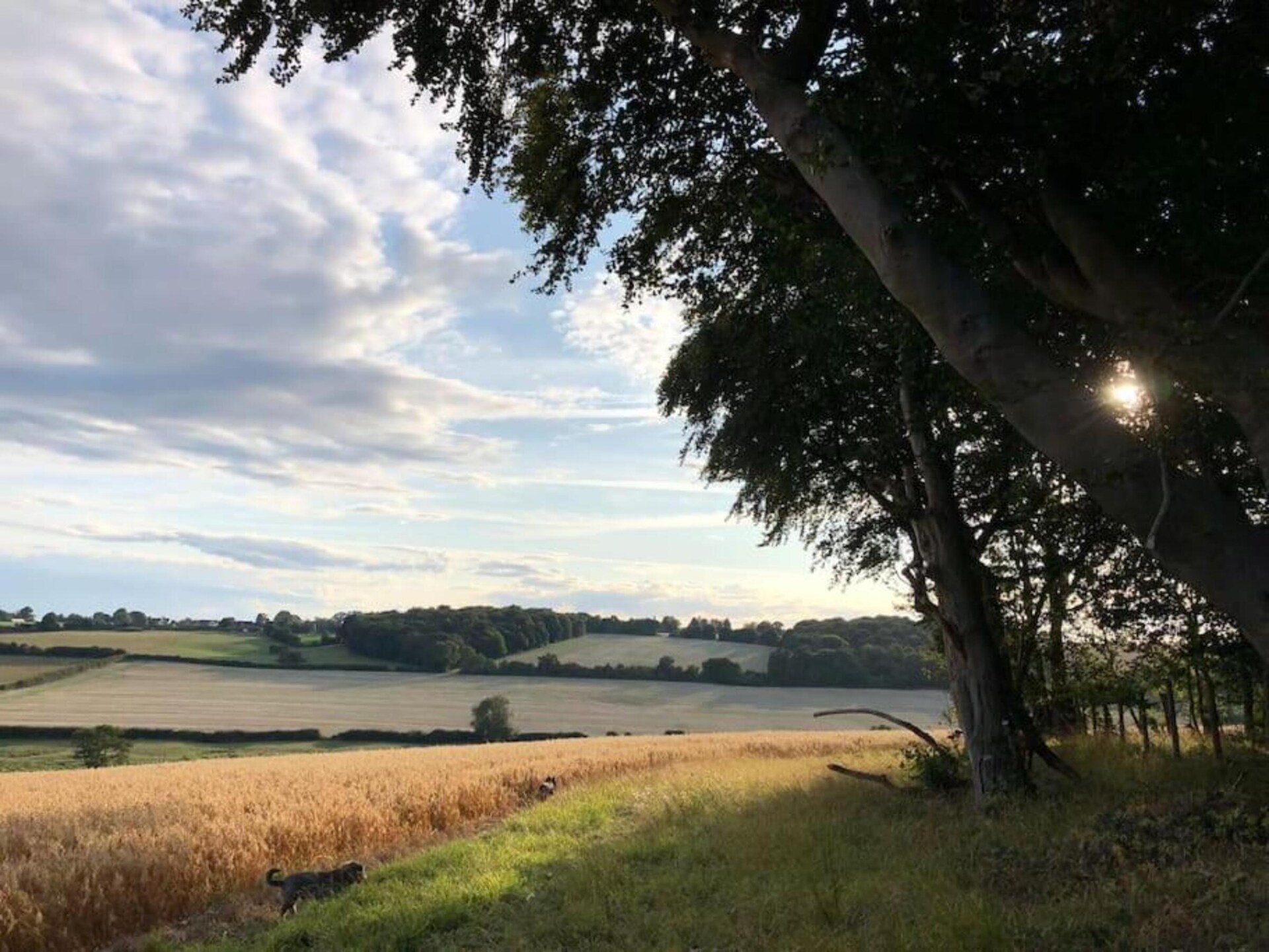Safaritent aan meer op privéboerderij met hottub, vlakbij Hertford - foto 31