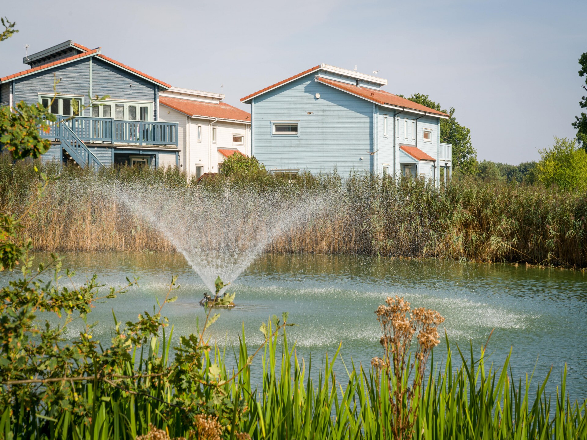 Puddleduck: Scandinavische lodge aan het meer in Fritton, Norfolk - foto 22
