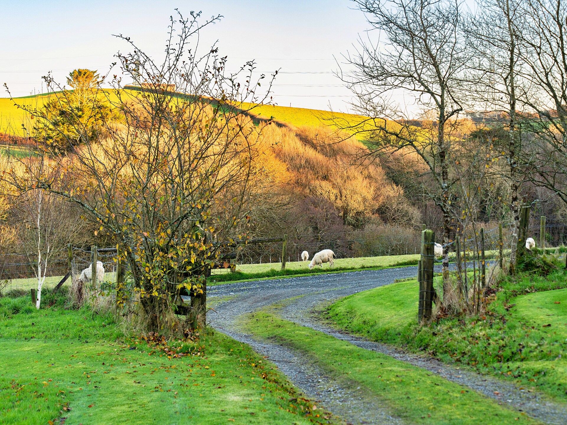 Romantische studio aan de golfbaan bij Boscastle, Cornwall - foto 22