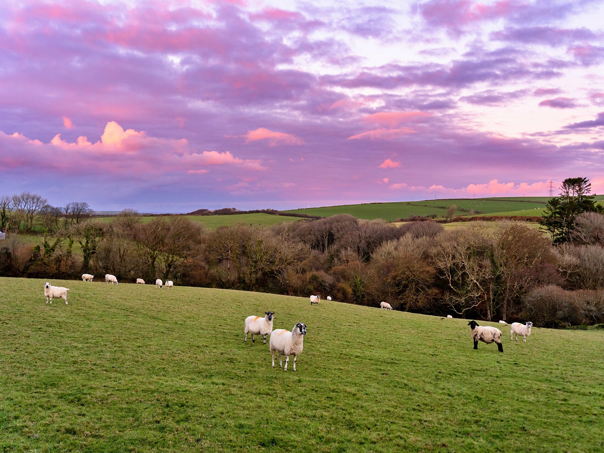Romantische studio aan de golfbaan bij Boscastle, Cornwall - foto 25