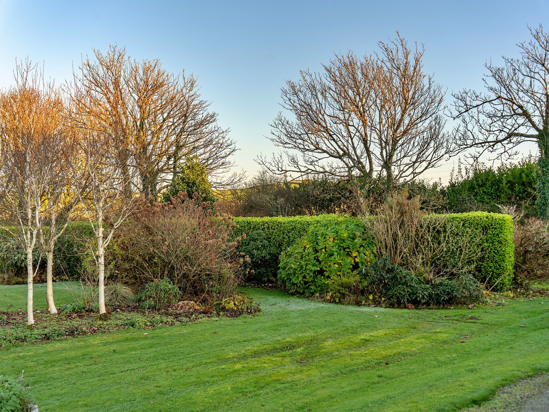 Romantische studio aan de golfbaan bij Boscastle, Cornwall - foto 31