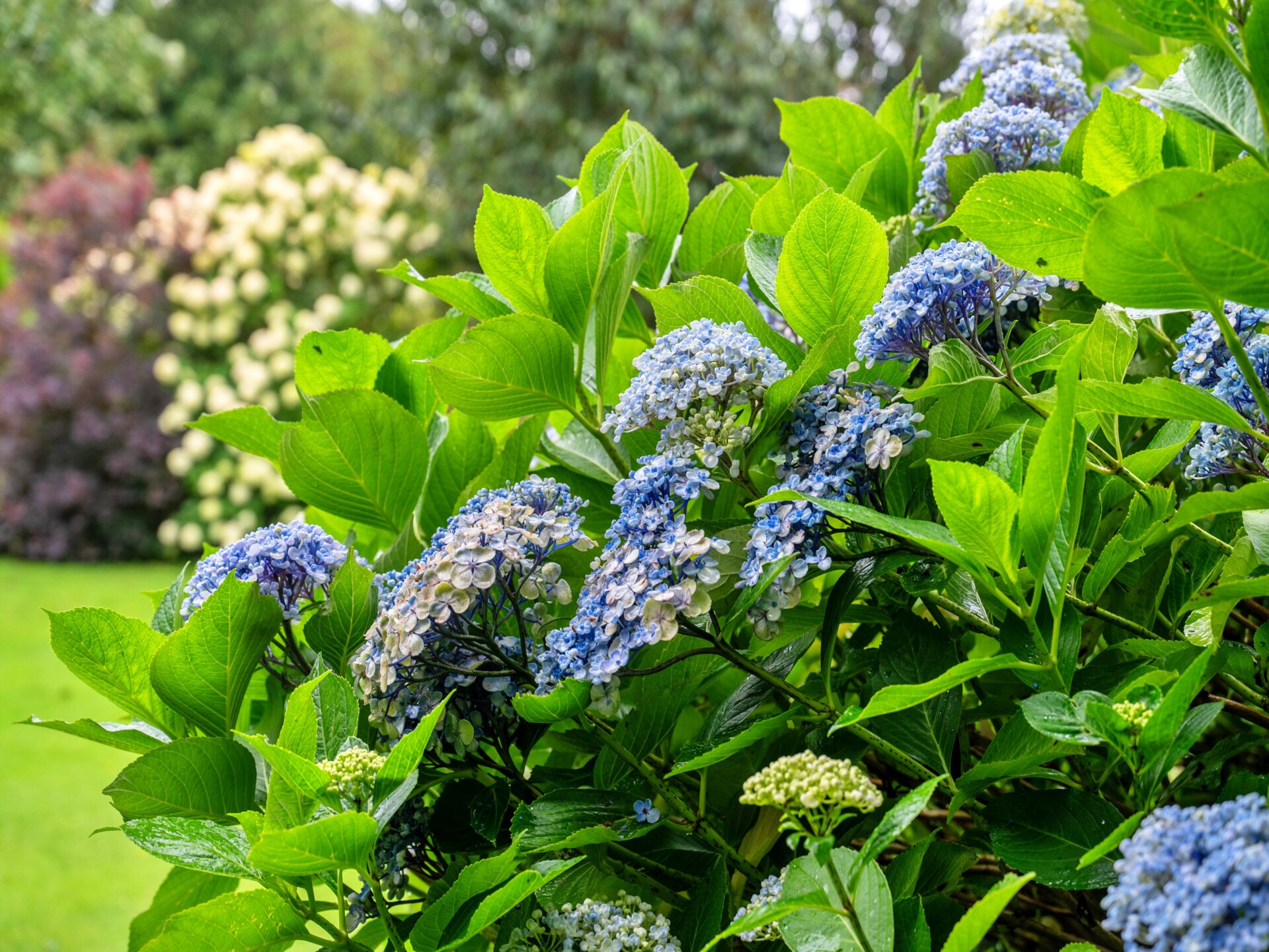 Romantisch chalet Skylarks in het hart van Cornwall met tuin en golfbaan - foto 13