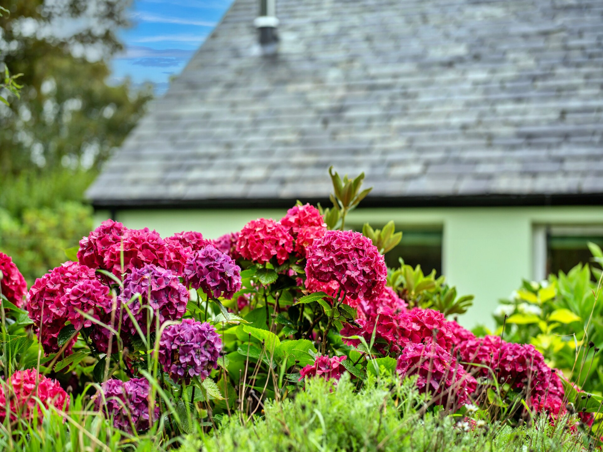 Romantisch chalet Skylarks in het hart van Cornwall met tuin en golfbaan - foto 23