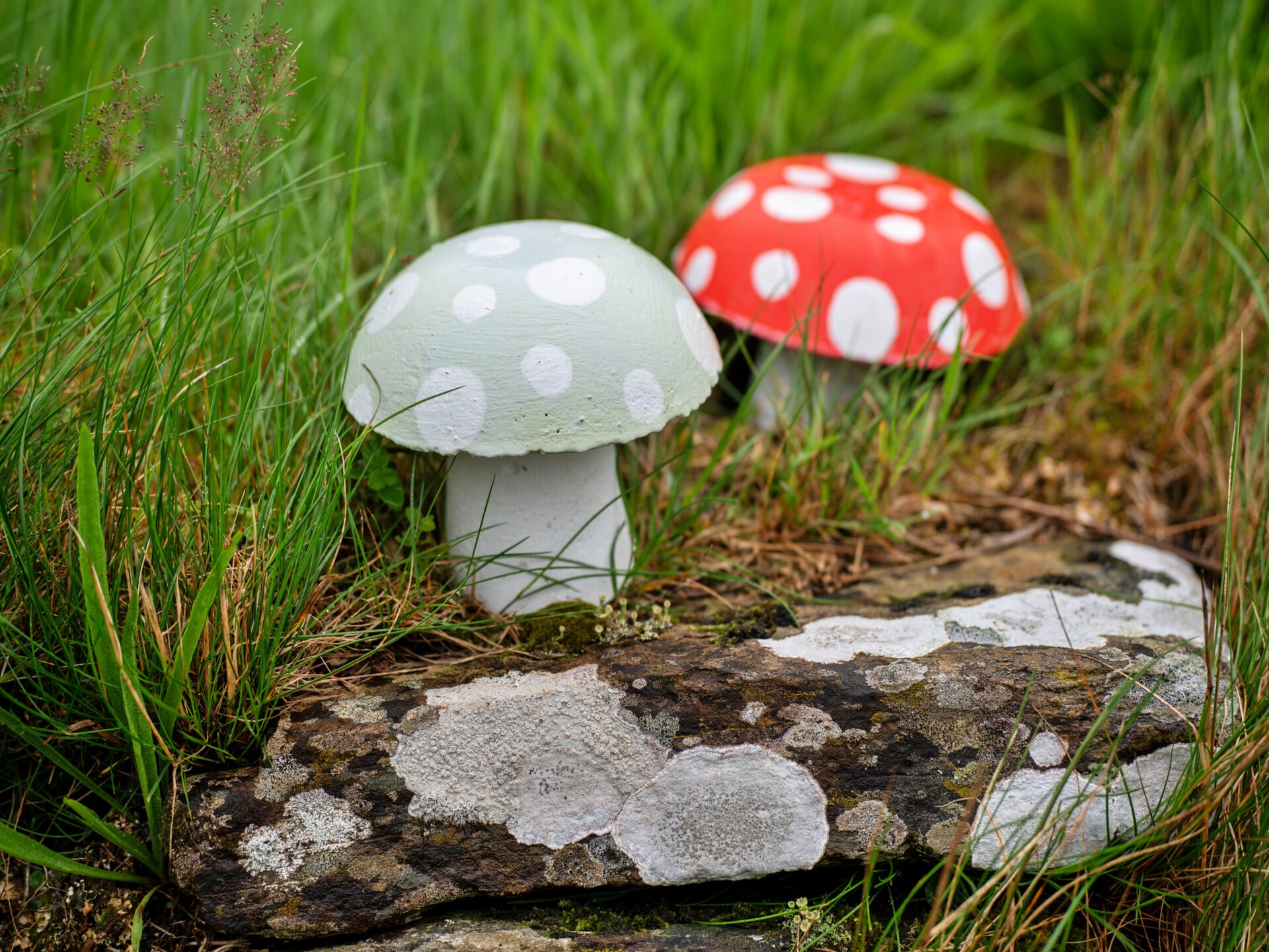 Romantisch chalet Skylarks in het hart van Cornwall met tuin en golfbaan - foto 24