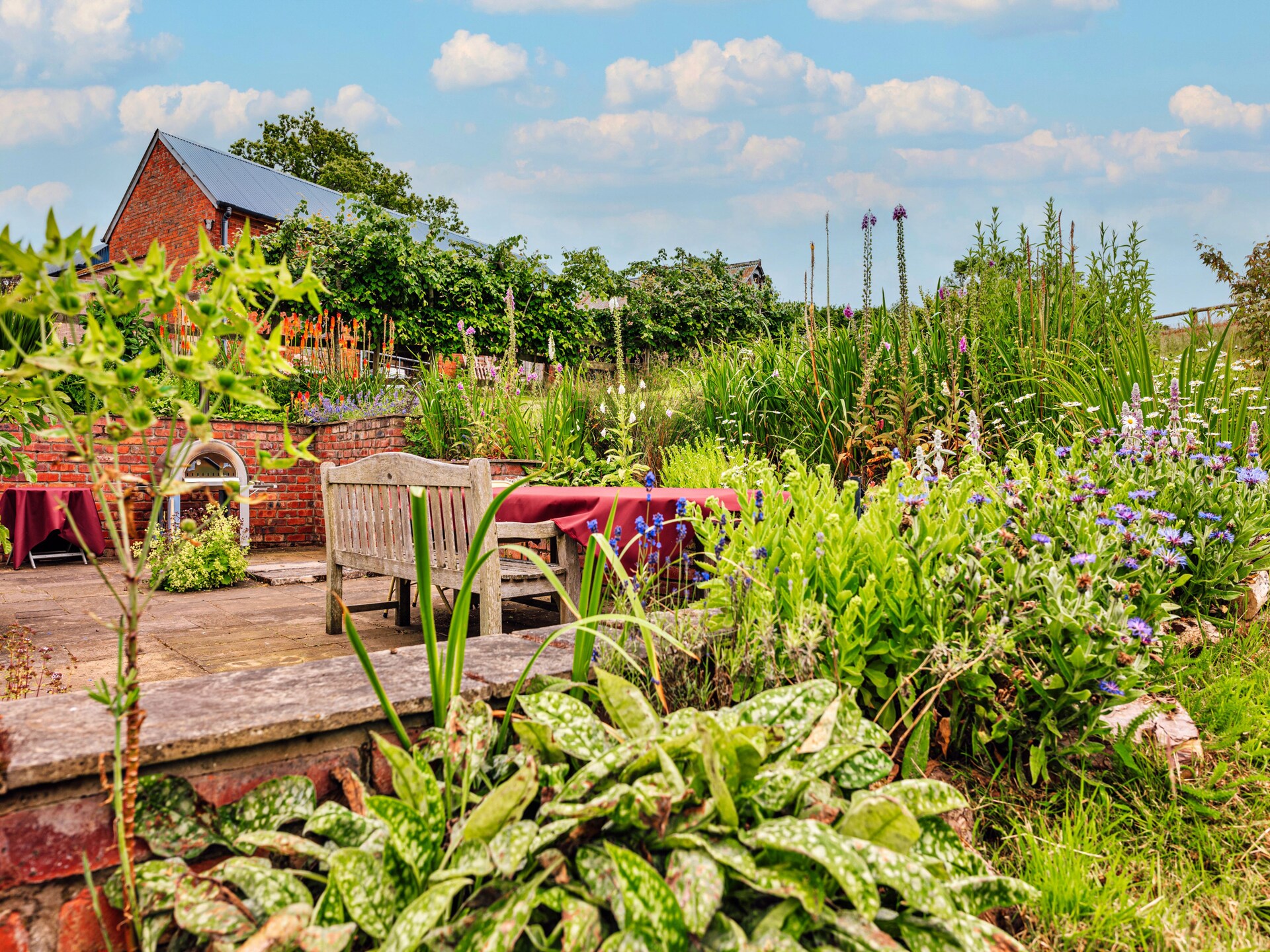 Beili Glas Cottage: Karakteristiek landhuis voor 8 personen in Welsh countryside - foto 27