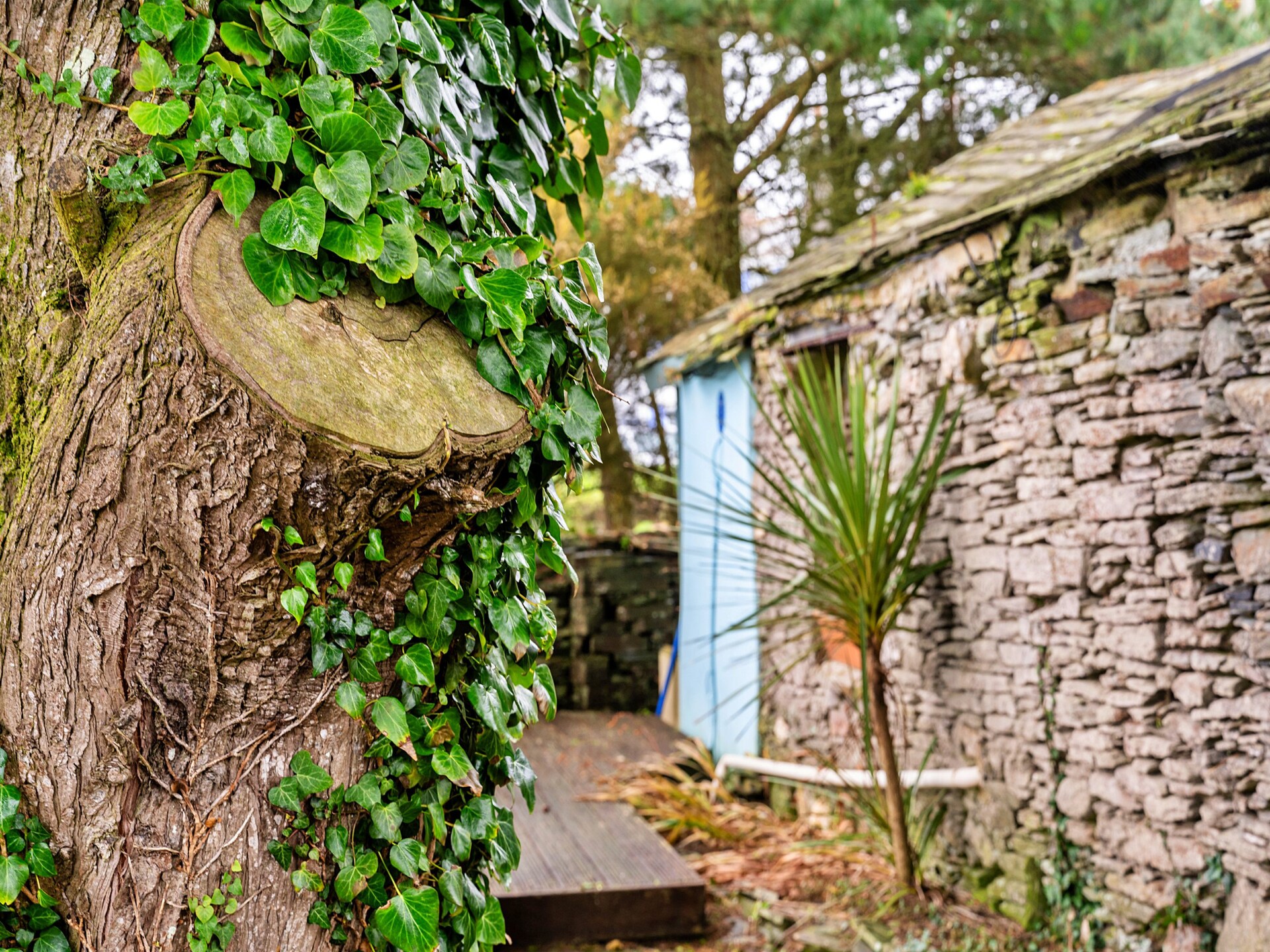 Romantisch vissershuisje met zeezicht bij Tintagel - foto 29