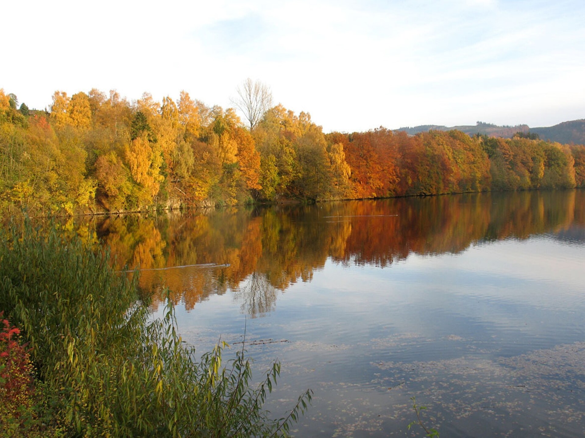 Vrijstaand vakantiehuis in bosrijke omgeving bij Meschede-Hennesee - foto 11