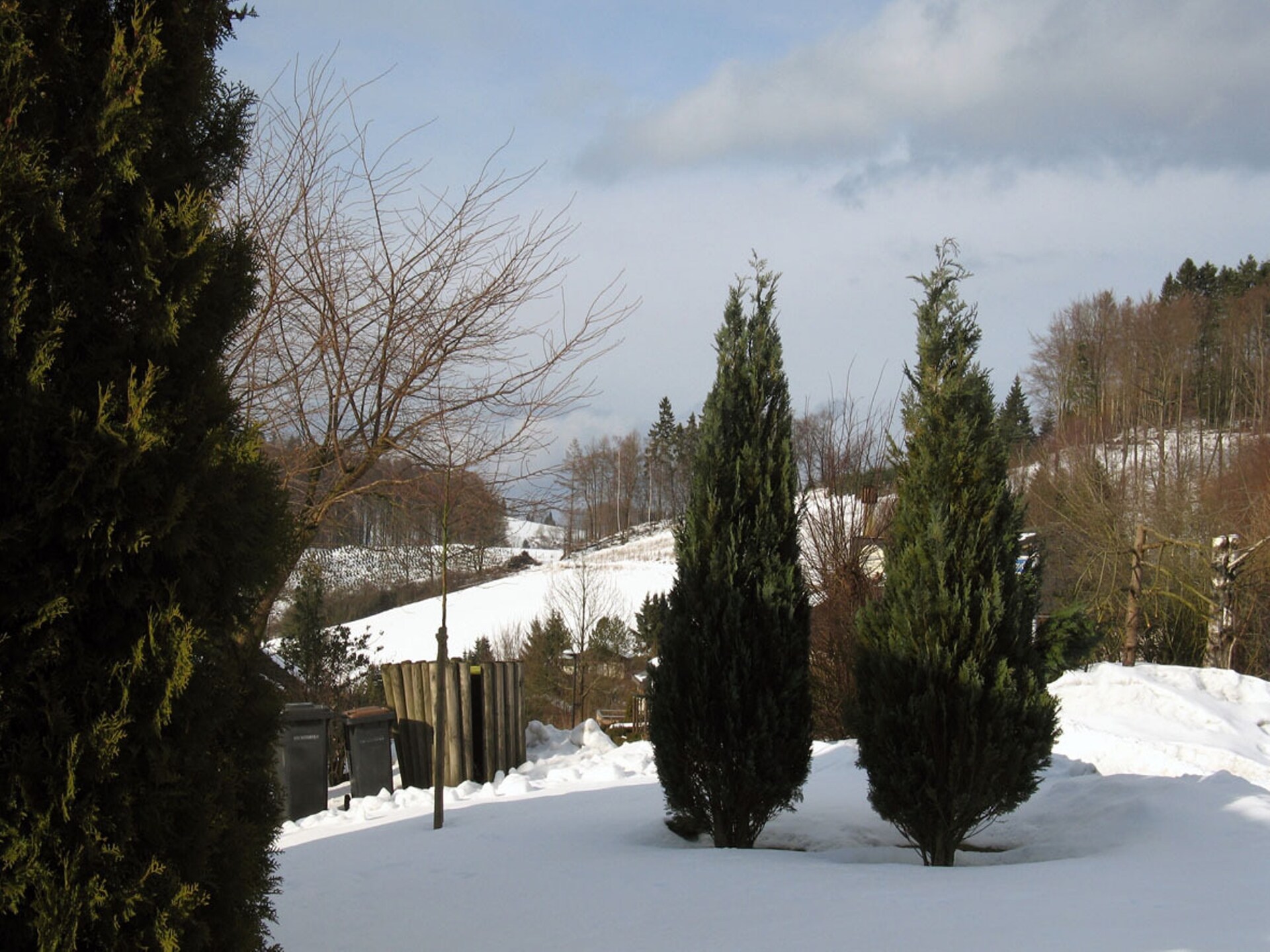 Vrijstaand vakantiehuis in bosrijke omgeving bij Meschede-Hennesee - foto 15