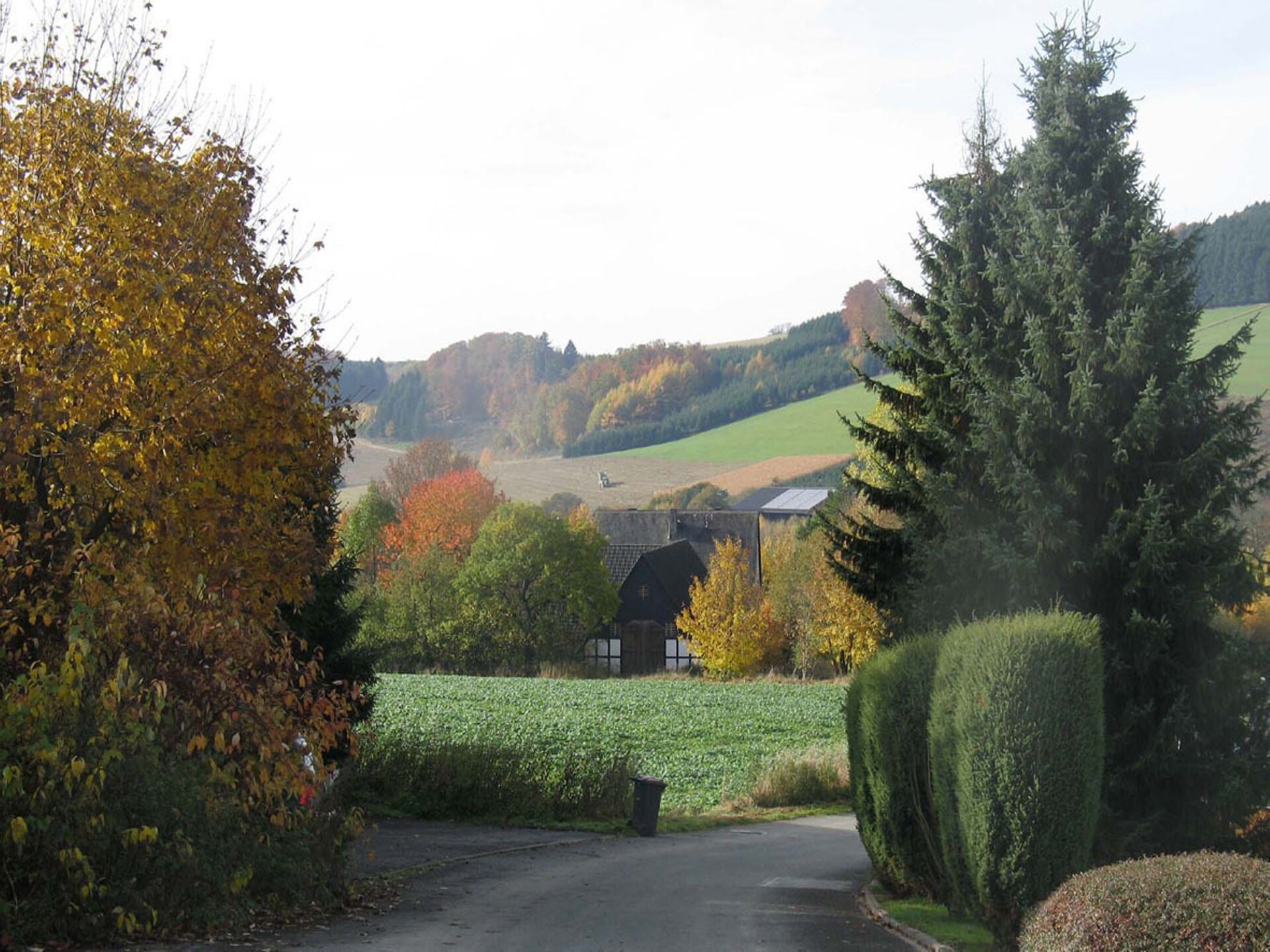 Vrijstaand vakantiehuis in bosrijke omgeving bij Meschede-Hennesee - foto 28