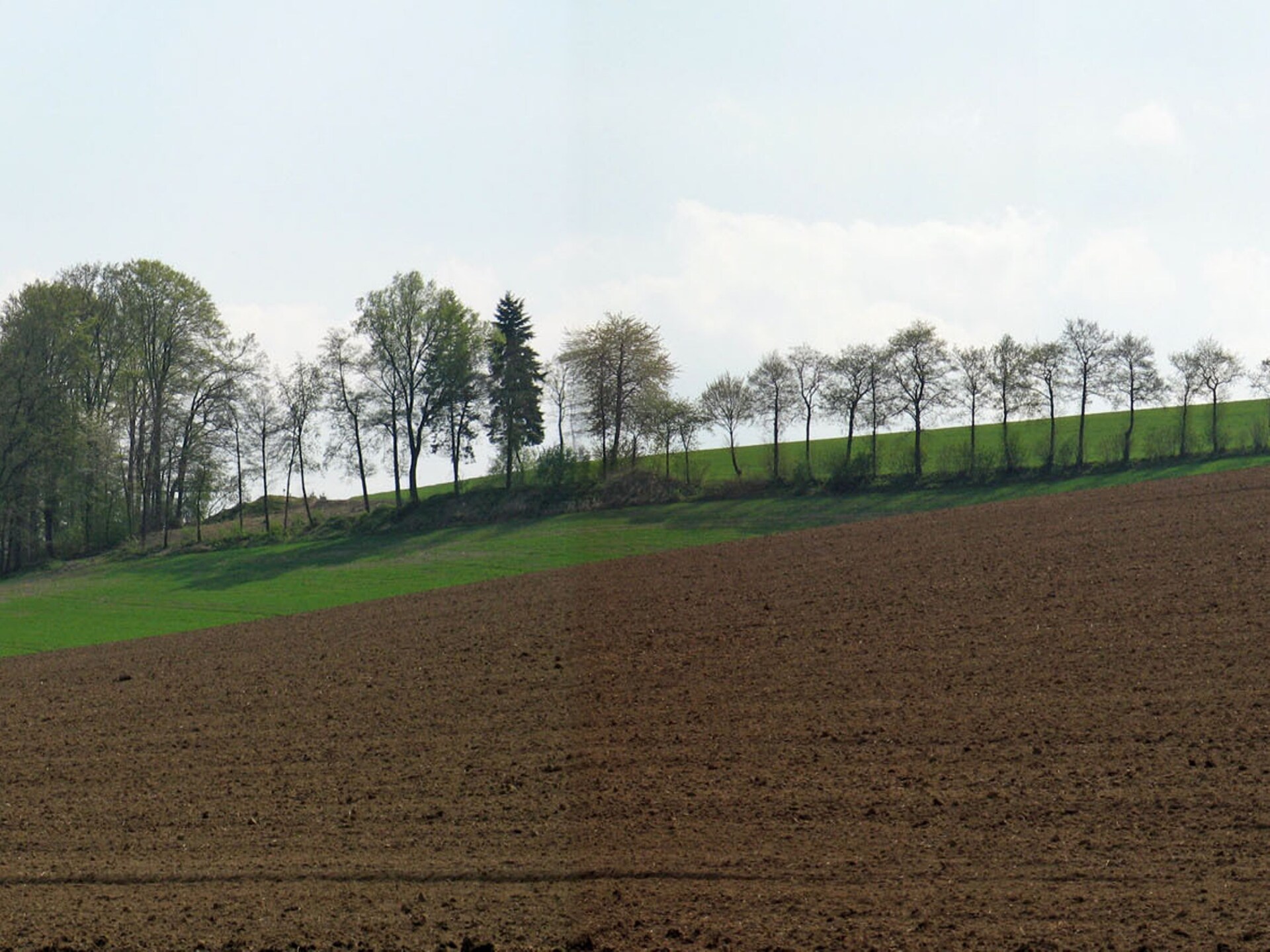 Vrijstaand vakantiehuis in bosrijke omgeving bij Meschede-Hennesee - foto 25