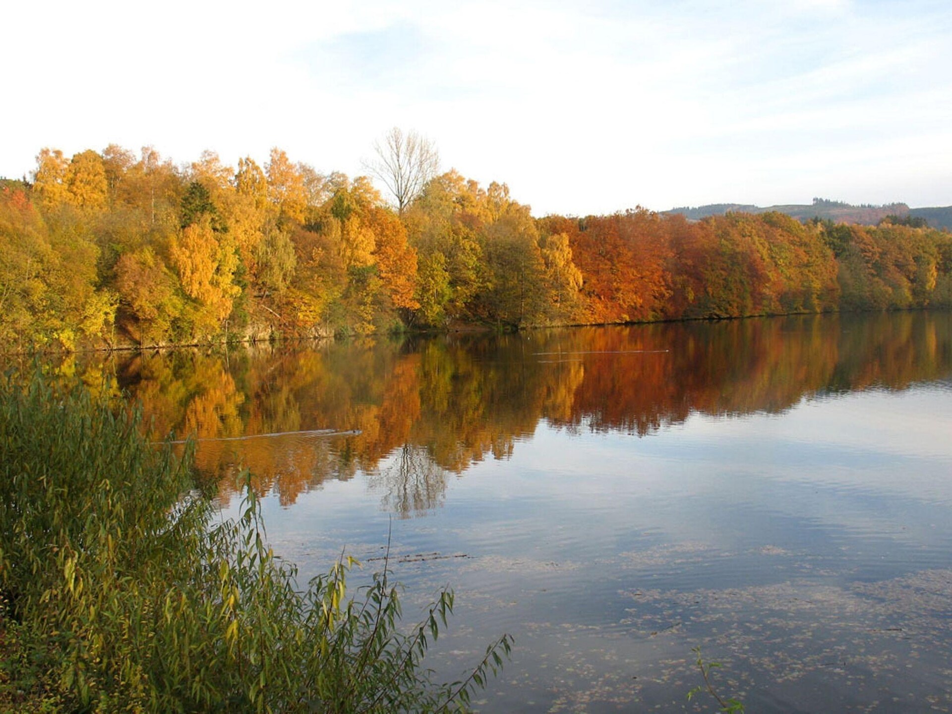 Vrijstaand vakantiehuis in bosrijke omgeving bij Meschede-Hennesee - foto 36