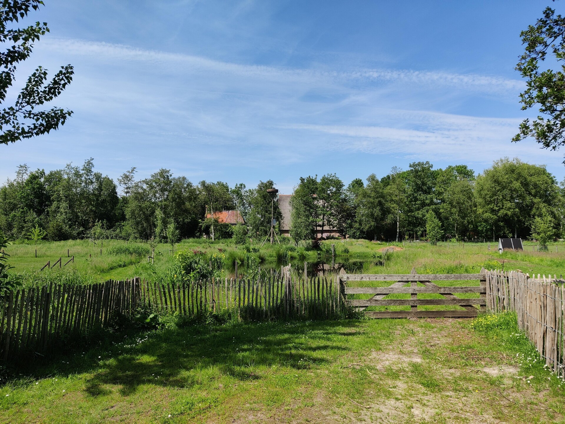 Wetland Cabin: minimalistisch genieten in het Friese natuurgebied - foto 11