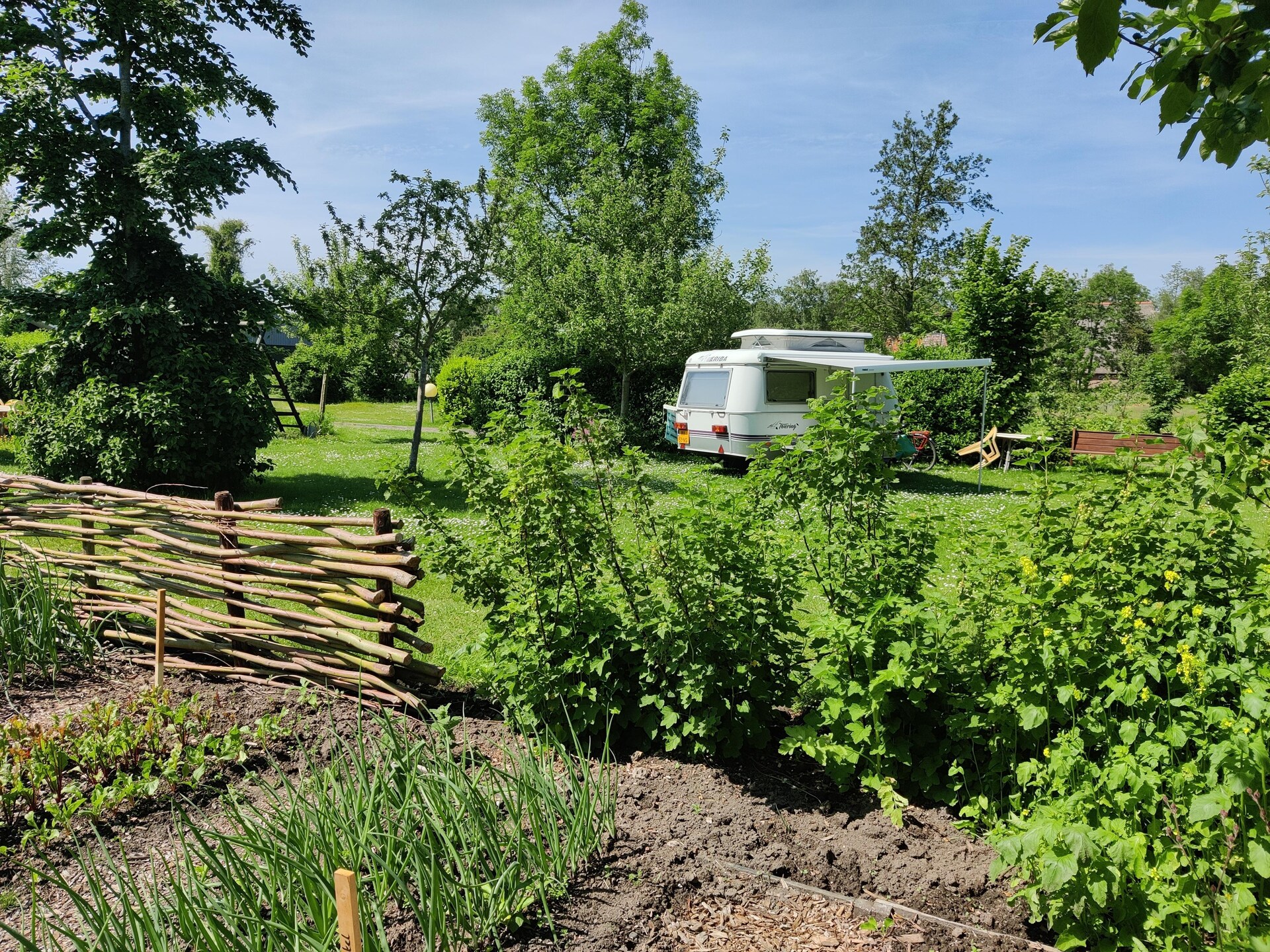 Wetland Cabin: minimalistisch genieten in het Friese natuurgebied - foto 12