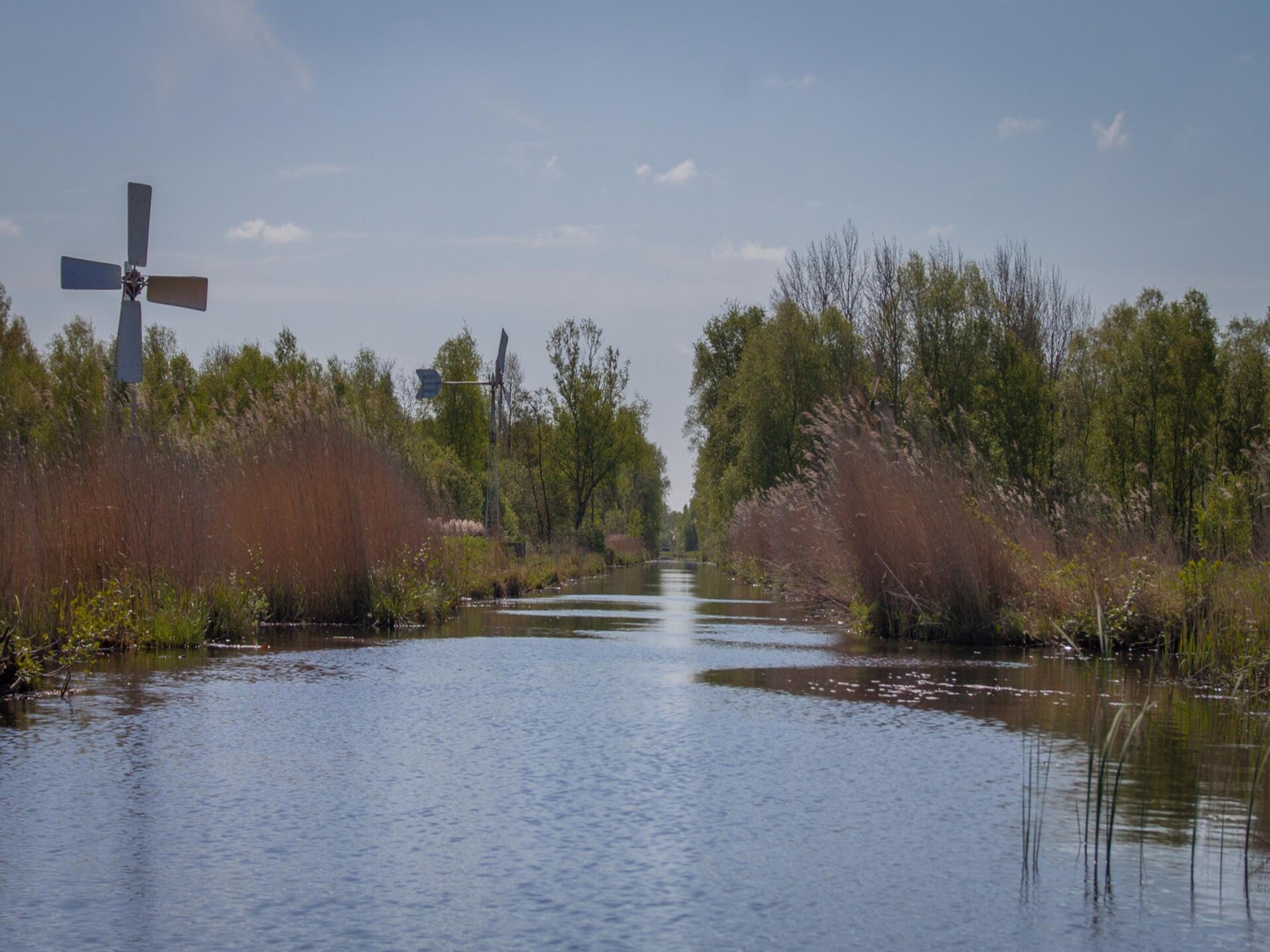 Wetland Cabin: minimalistisch genieten in het Friese natuurgebied - foto 18