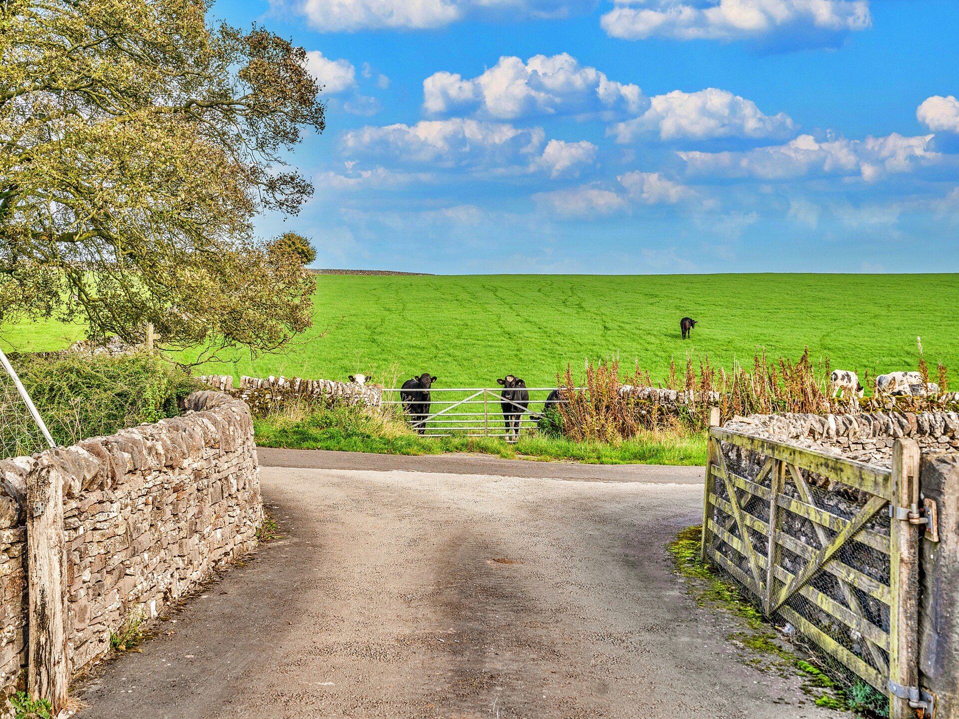 Landelijk toevluchtsoord Gag Barn bij Ashbourne in het Peak District - foto 26